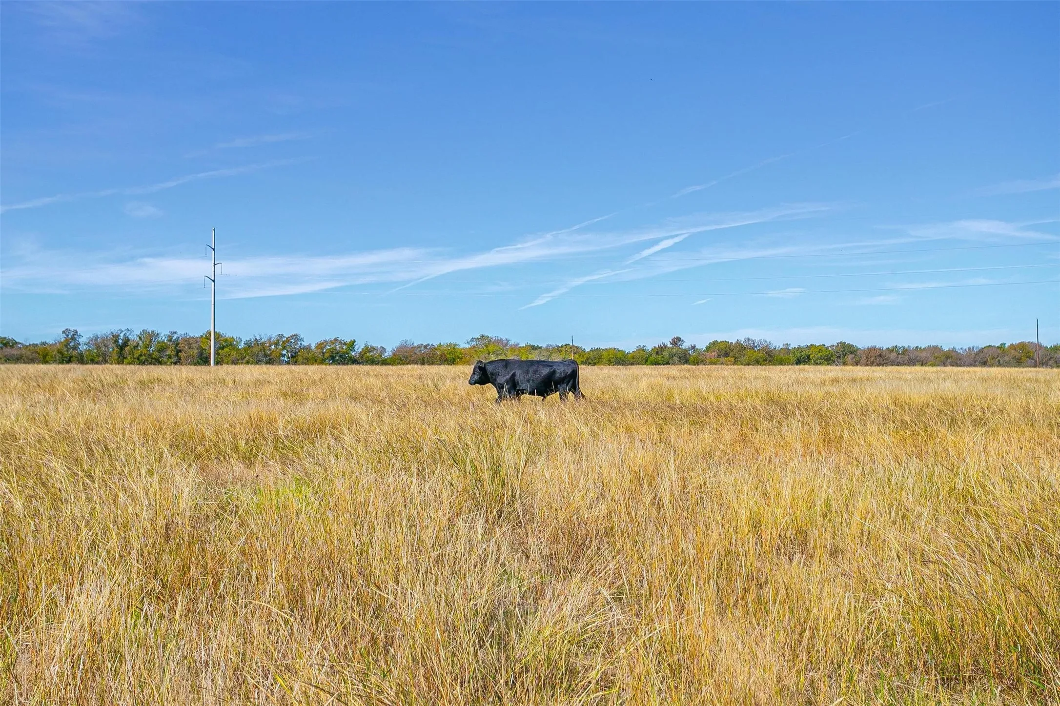Unimproved Land For Sale in Johnson County , 0000 County Road 410 Road, Alvarado, Texas 76009, 0, 0, Garage spaces, 0 Sqft, built in 0, mls#21287483, Real Estate Agent in Alvarado, Homes For Sale in Johnson county, Homes For Sale in Alvarado, Realtor in Alvarado Texas, Real Estate Brokerage Independent Realty Texas, Luminita Cordes Realtor