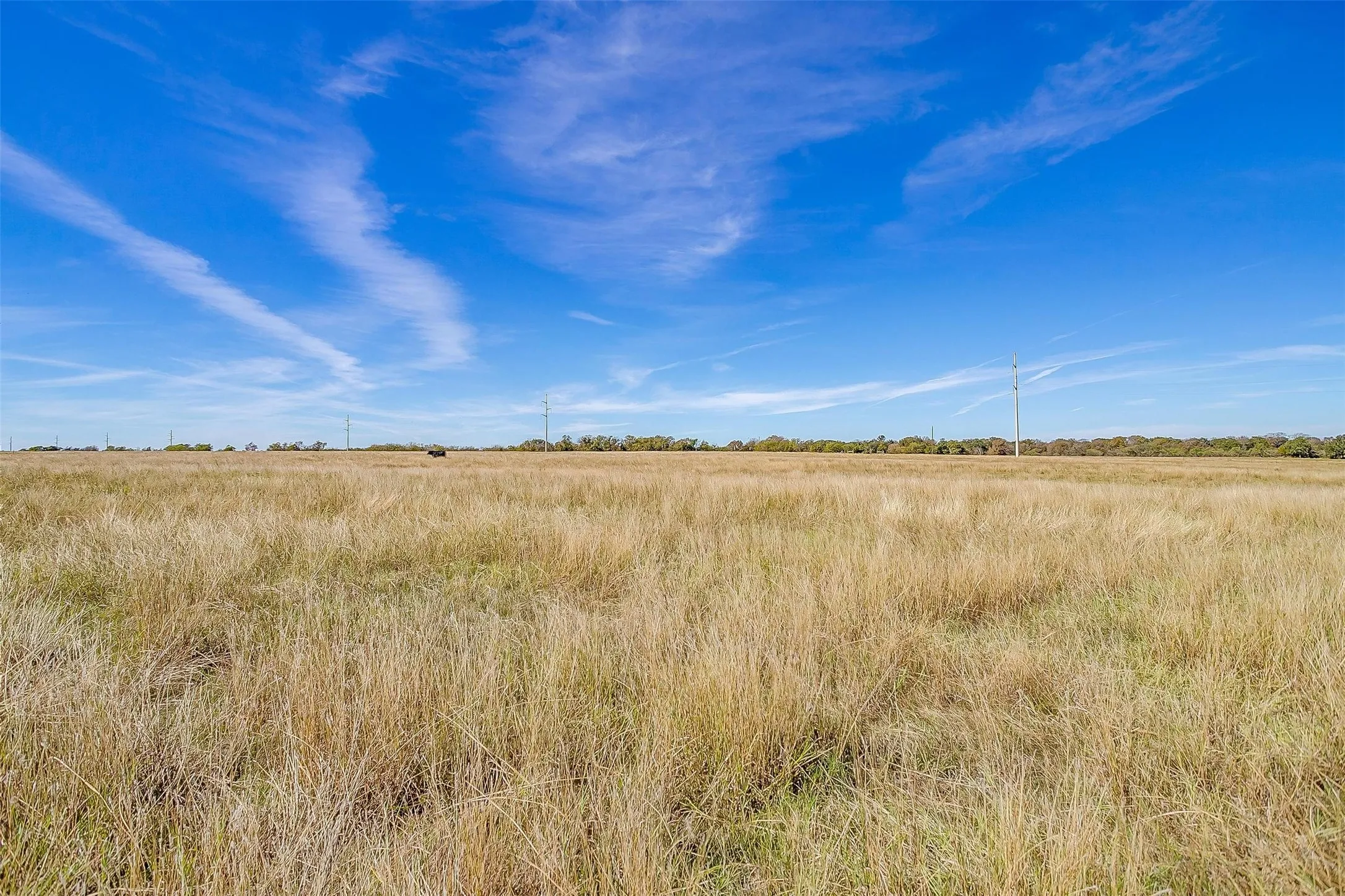 Expansive open field with natural vegetation and a clear blue sky
