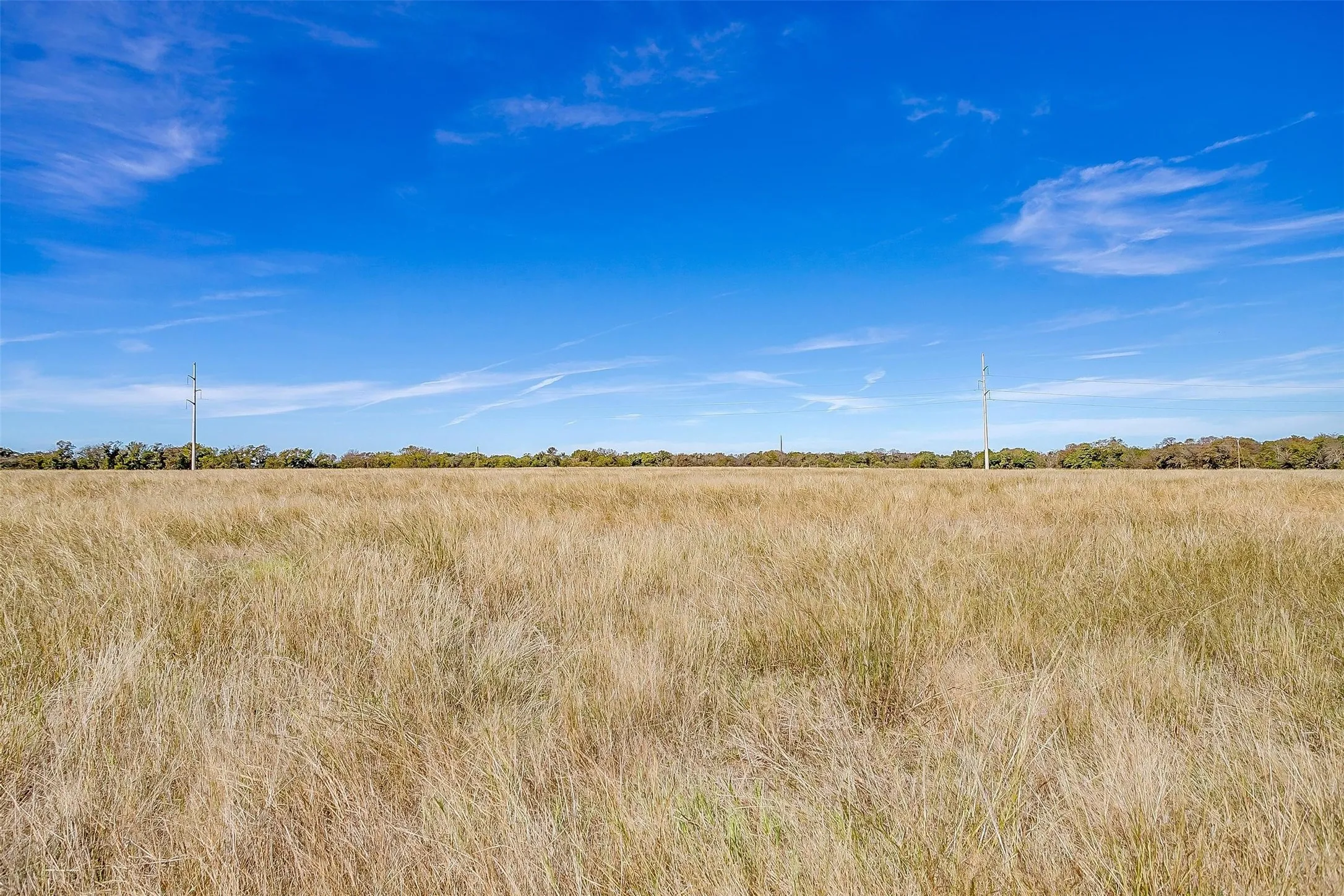 Expansive open field with natural grasses