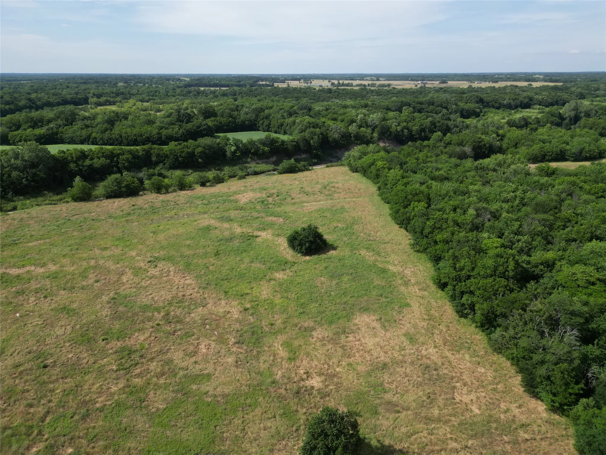 Unimproved Land For Sale in Delta County , 57 acres CR 3505, Pecan Gap, Texas 75469, 0, 0, Garage spaces, 0 Sqft, built in 0, Price $396,900, mls#21287446, Real Estate Agent in Pecan Gap, Homes For Sale in Delta county, Homes For Sale in Pecan Gap, Realtor in Pecan Gap Texas, Real Estate Brokerage Independent Realty Texas, Luminita Cordes Realtor