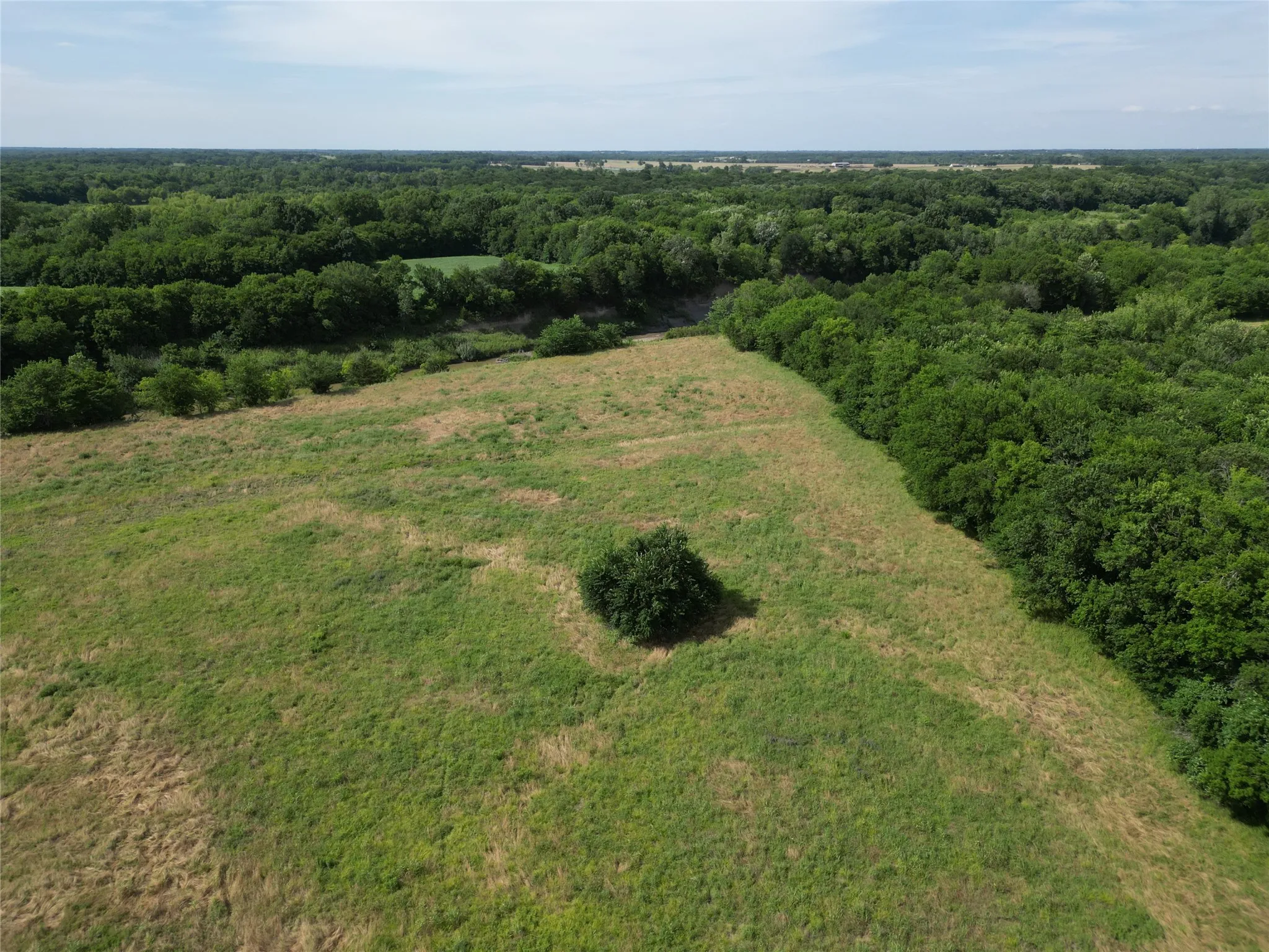 Unimproved Land For Sale in Delta County , 57 acres CR 3505, Pecan Gap, Texas 75469, 0, 0, Garage spaces, 0 Sqft, built in 0, Price $396,900, mls#21287446, Real Estate Agent in Pecan Gap, Homes For Sale in Delta county, Homes For Sale in Pecan Gap, Realtor in Pecan Gap Texas, Real Estate Brokerage Independent Realty Texas, Luminita Cordes Realtor