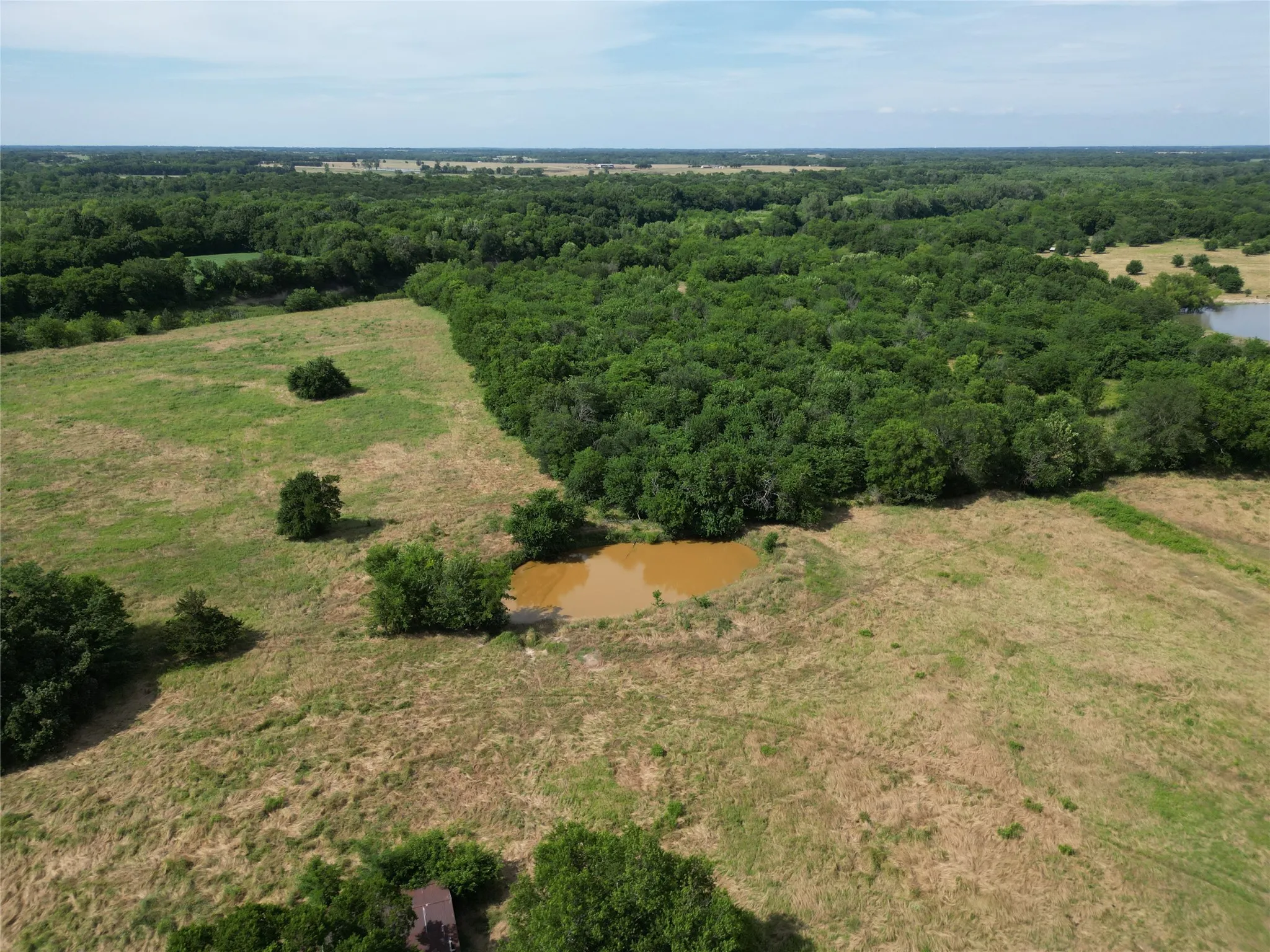 Unimproved Land For Sale in Delta County , 57 acres CR 3505, Pecan Gap, Texas 75469, 0, 0, Garage spaces, 0 Sqft, built in 0, Price $396,900, mls#21287446, Real Estate Agent in Pecan Gap, Homes For Sale in Delta county, Homes For Sale in Pecan Gap, Realtor in Pecan Gap Texas, Real Estate Brokerage Independent Realty Texas, Luminita Cordes Realtor