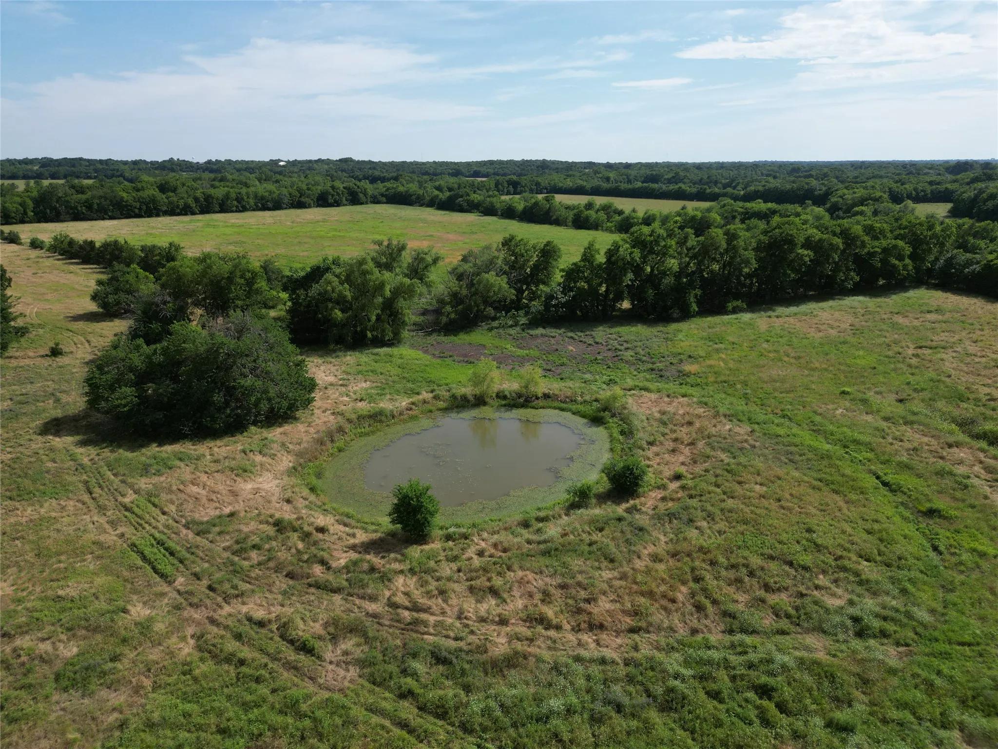 Unimproved Land For Sale in Delta County , 57 acres CR 3505, Pecan Gap, Texas 75469, 0, 0, Garage spaces, 0 Sqft, built in 0, Price $396,900, mls#21287446, Real Estate Agent in Pecan Gap, Homes For Sale in Delta county, Homes For Sale in Pecan Gap, Realtor in Pecan Gap Texas, Real Estate Brokerage Independent Realty Texas, Luminita Cordes Realtor