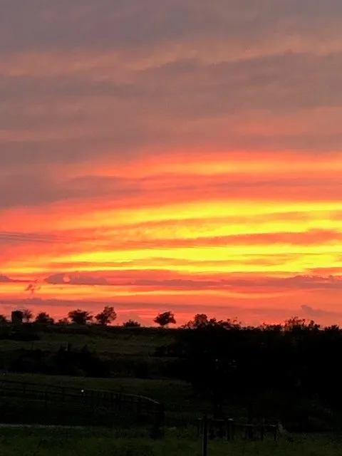 Sunrise