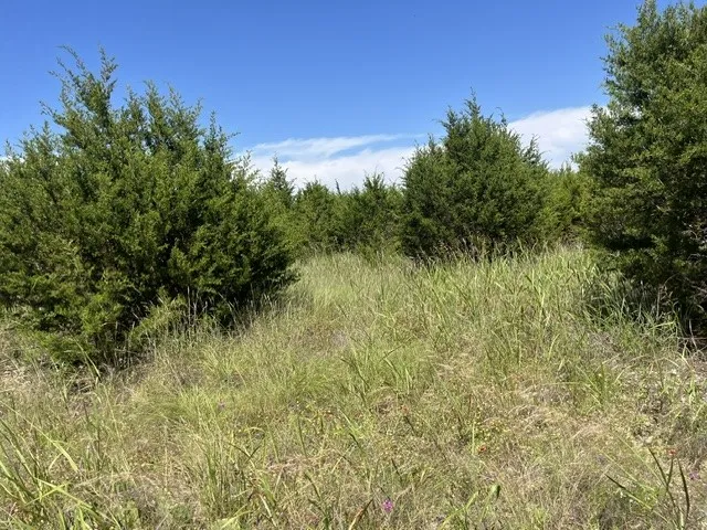 Single Family Residence For Sale in Hamilton County , 707 County Road 426, Purmela, Texas 76566, 2 Bedrooms, 2 Bathrooms, Garage spaces, 1,308 Sqft, built in 1940, Price $549,900, mls#21287577, Real Estate Agent in Purmela, Homes For Sale in Hamilton county, Homes For Sale in Purmela, Realtor in Purmela Texas, Real Estate Brokerage Independent Realty Texas, Luminita Cordes Realtor