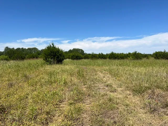 Single Family Residence For Sale in Hamilton County , 707 County Road 426, Purmela, Texas 76566, 2 Bedrooms, 2 Bathrooms, Garage spaces, 1,308 Sqft, built in 1940, Price $549,900, mls#21287577, Real Estate Agent in Purmela, Homes For Sale in Hamilton county, Homes For Sale in Purmela, Realtor in Purmela Texas, Real Estate Brokerage Independent Realty Texas, Luminita Cordes Realtor