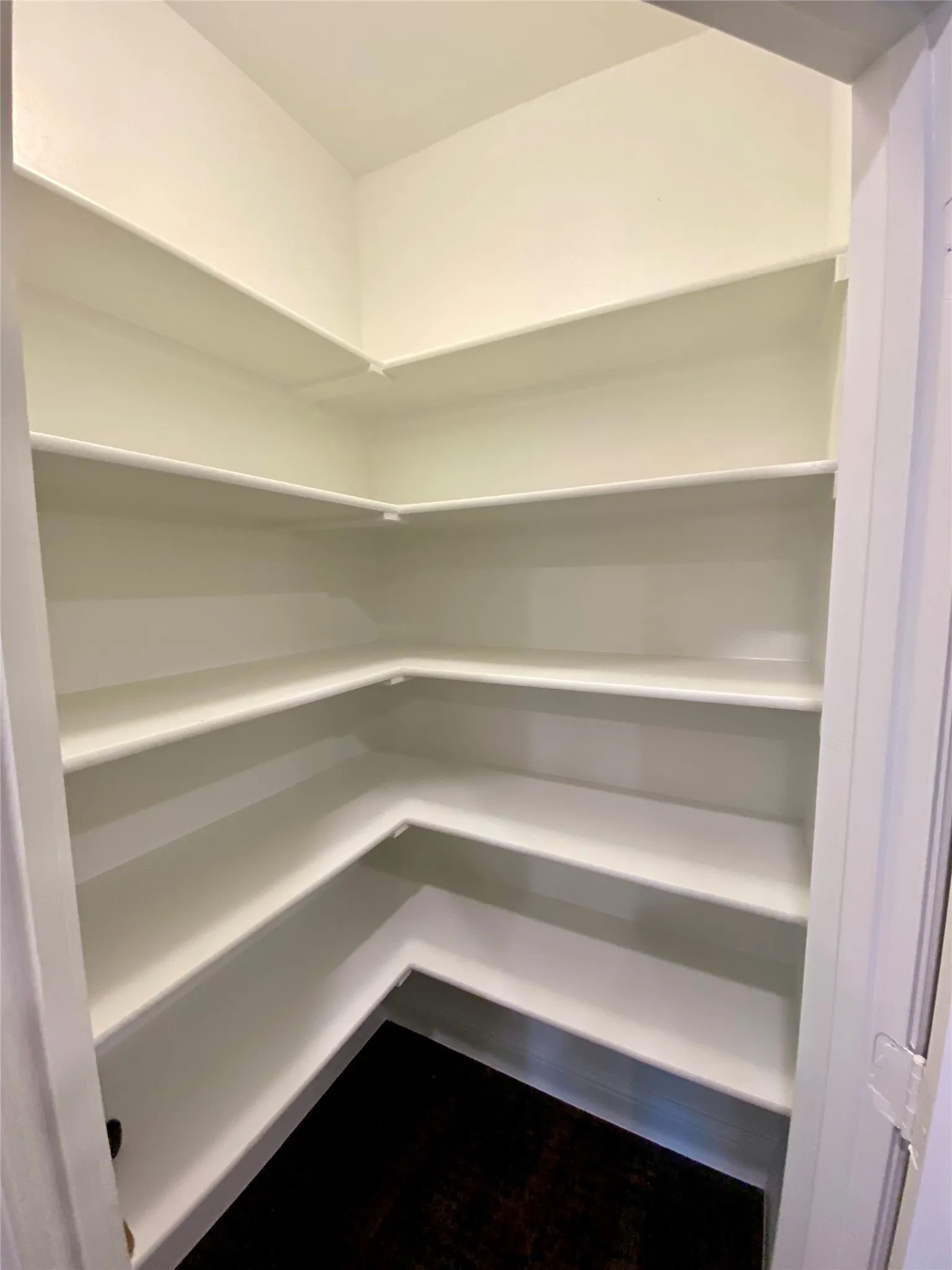 Huge corner pantry with lots of storage