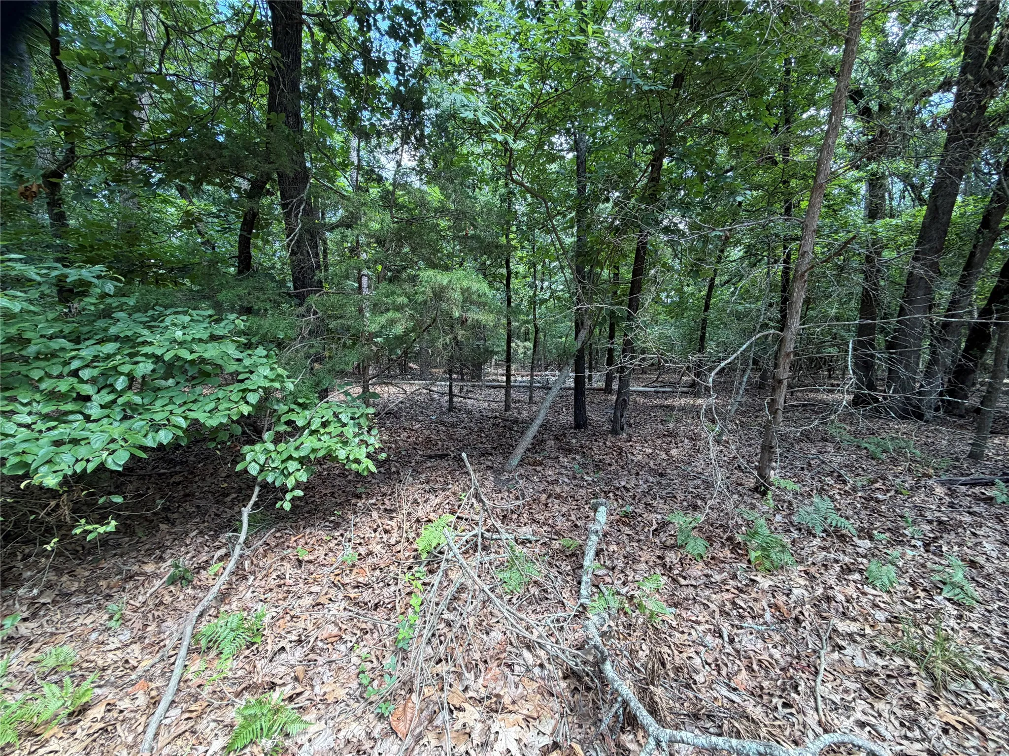 Unimproved Land For Sale in Franklin (TX) County , Lot 29 & 30 King Arthur Court, Scroggins, Texas 75480, 0, 0, Garage spaces, 0 Sqft, built in 0, Price $30,000, mls#21287590, Real Estate Agent in Scroggins, Homes For Sale in Franklin (TX) county, Homes For Sale in Scroggins, Realtor in Scroggins Texas, Real Estate Brokerage Independent Realty Texas, Luminita Cordes Realtor