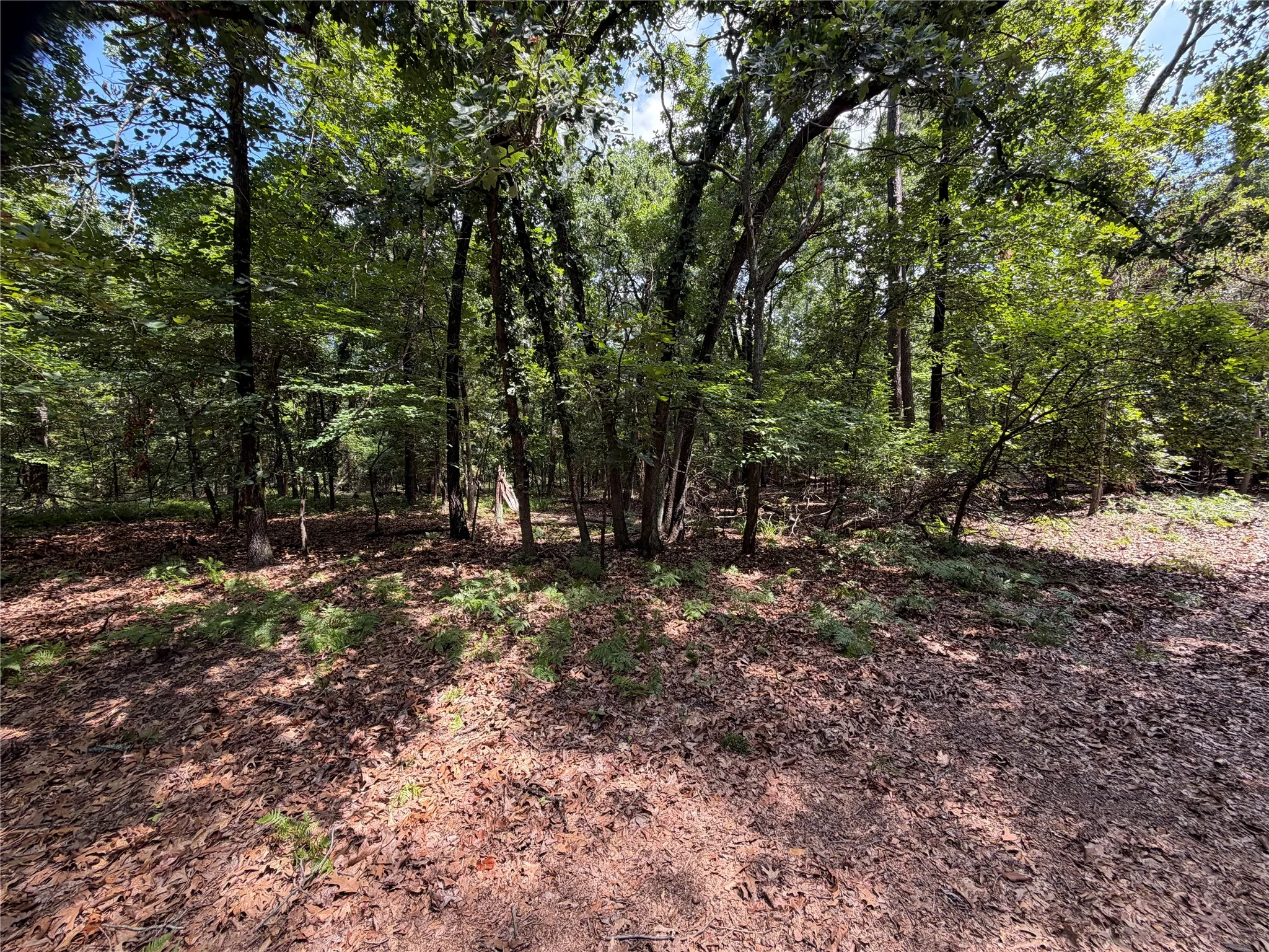 Unimproved Land For Sale in Franklin (TX) County , Lot 29 & 30 King Arthur Court, Scroggins, Texas 75480, 0, 0, Garage spaces, 0 Sqft, built in 0, Price $30,000, mls#21287590, Real Estate Agent in Scroggins, Homes For Sale in Franklin (TX) county, Homes For Sale in Scroggins, Realtor in Scroggins Texas, Real Estate Brokerage Independent Realty Texas, Luminita Cordes Realtor