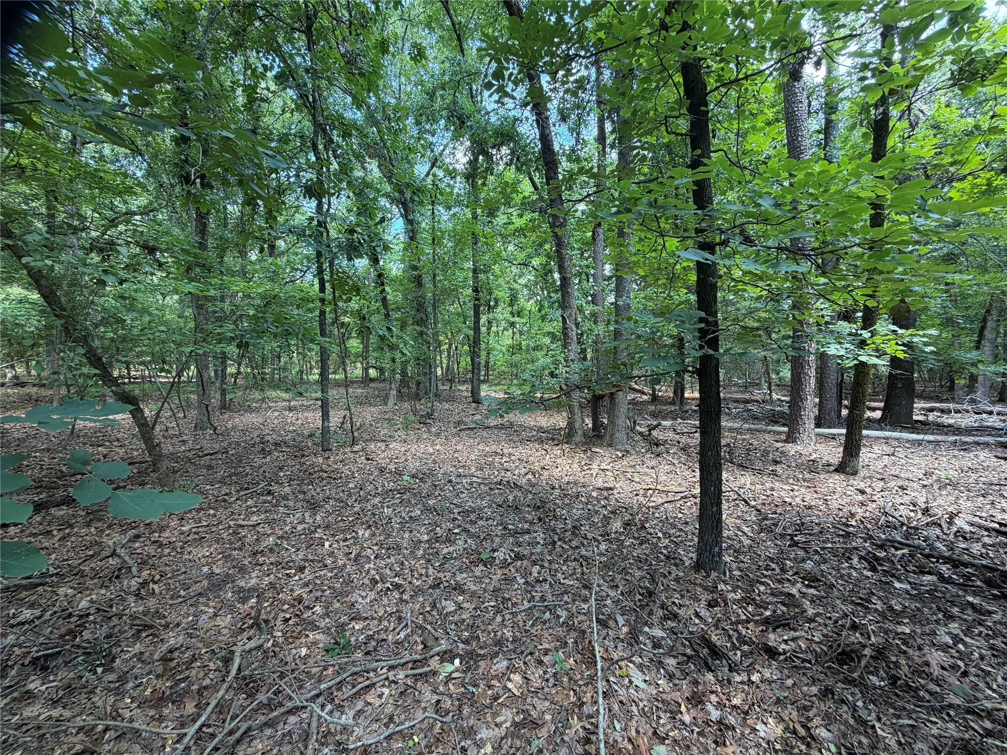 Unimproved Land For Sale in Franklin (TX) County , Lot 29 & 30 King Arthur Court, Scroggins, Texas 75480, 0, 0, Garage spaces, 0 Sqft, built in 0, Price $30,000, mls#21287590, Real Estate Agent in Scroggins, Homes For Sale in Franklin (TX) county, Homes For Sale in Scroggins, Realtor in Scroggins Texas, Real Estate Brokerage Independent Realty Texas, Luminita Cordes Realtor
