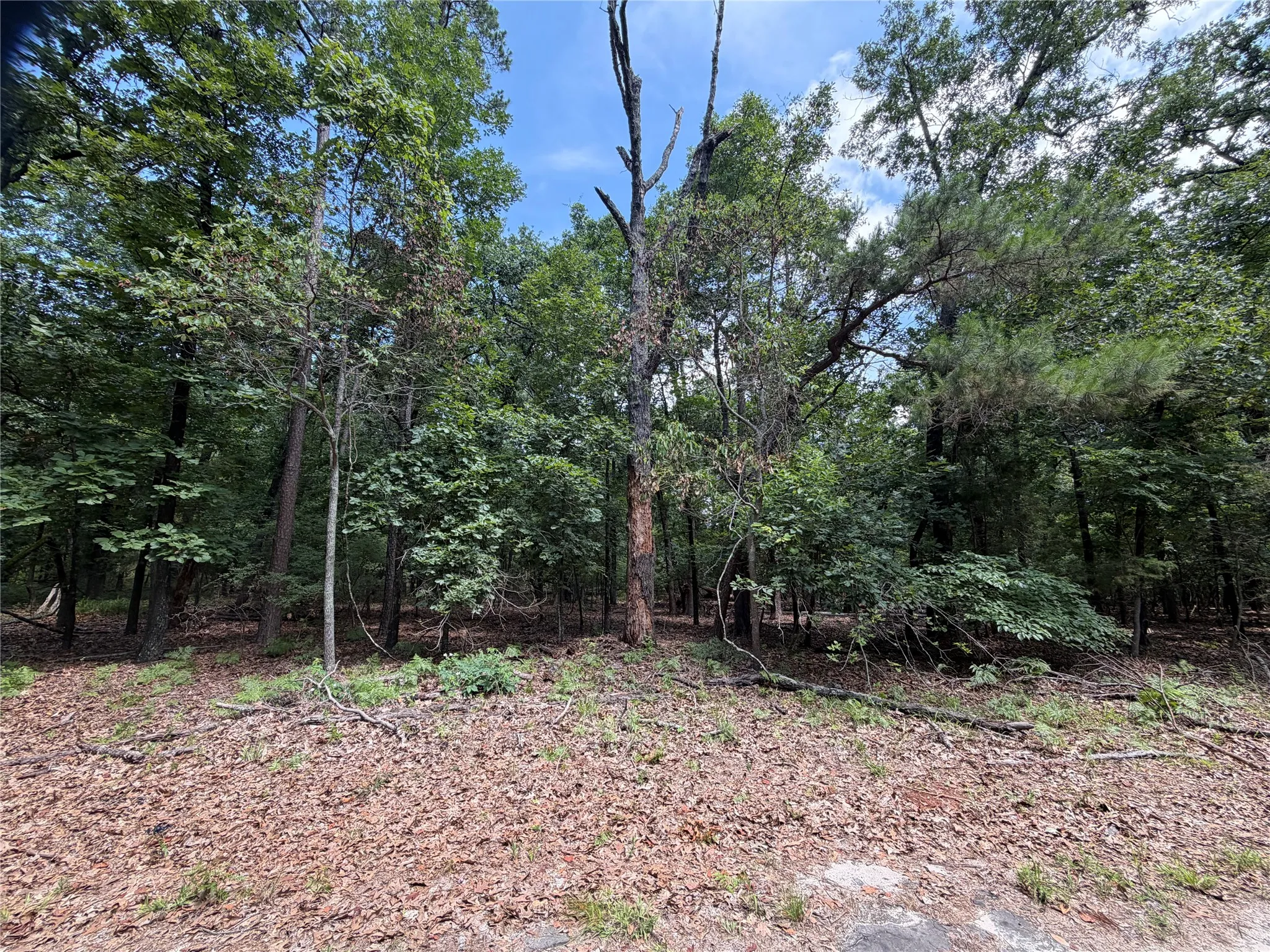 Unimproved Land For Sale in Franklin (TX) County , Lot 29 & 30 King Arthur Court, Scroggins, Texas 75480, 0, 0, Garage spaces, 0 Sqft, built in 0, Price $30,000, mls#21287590, Real Estate Agent in Scroggins, Homes For Sale in Franklin (TX) county, Homes For Sale in Scroggins, Realtor in Scroggins Texas, Real Estate Brokerage Independent Realty Texas, Luminita Cordes Realtor