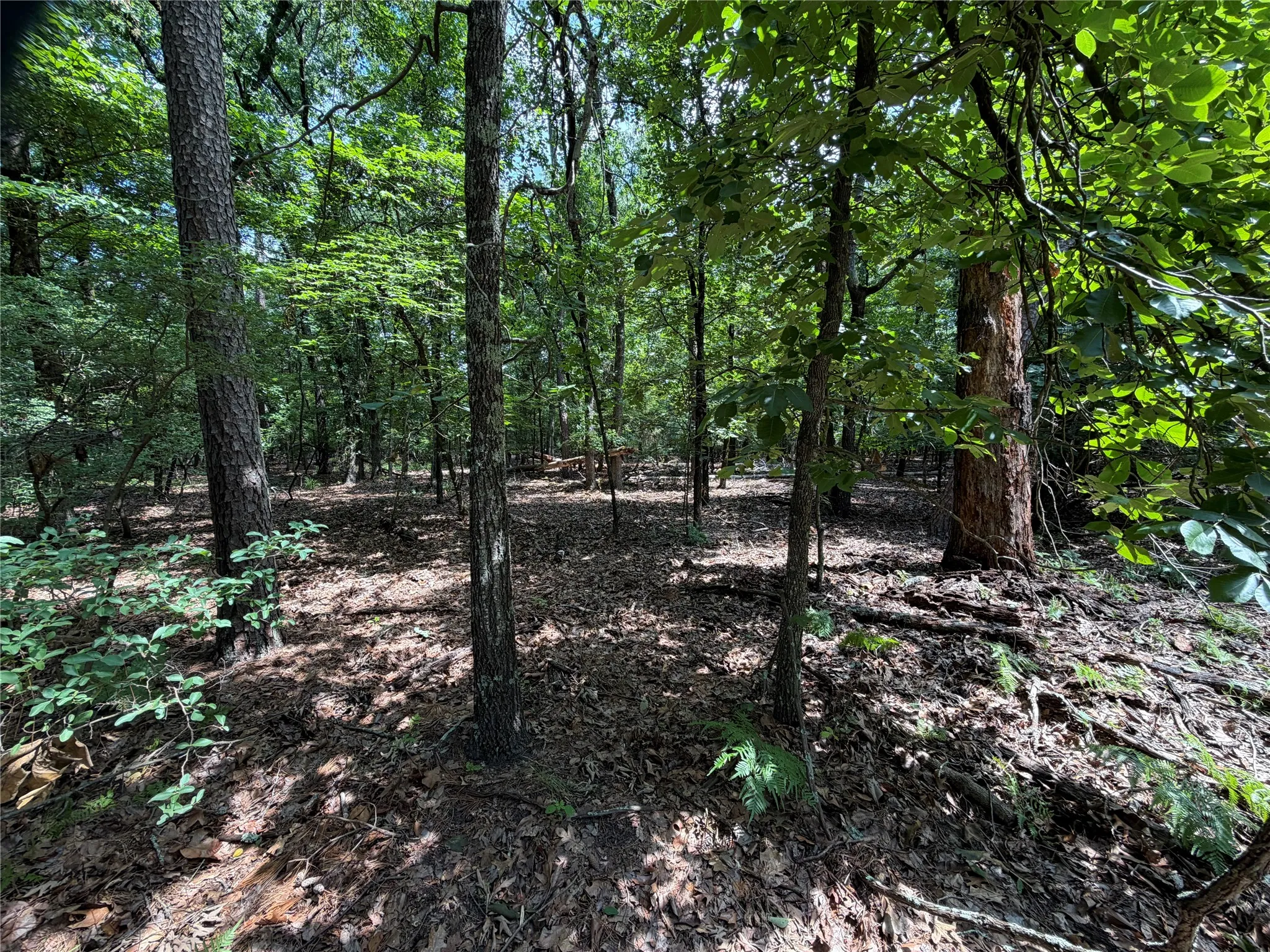 Unimproved Land For Sale in Franklin (TX) County , Lot 29 & 30 King Arthur Court, Scroggins, Texas 75480, 0, 0, Garage spaces, 0 Sqft, built in 0, Price $30,000, mls#21287590, Real Estate Agent in Scroggins, Homes For Sale in Franklin (TX) county, Homes For Sale in Scroggins, Realtor in Scroggins Texas, Real Estate Brokerage Independent Realty Texas, Luminita Cordes Realtor