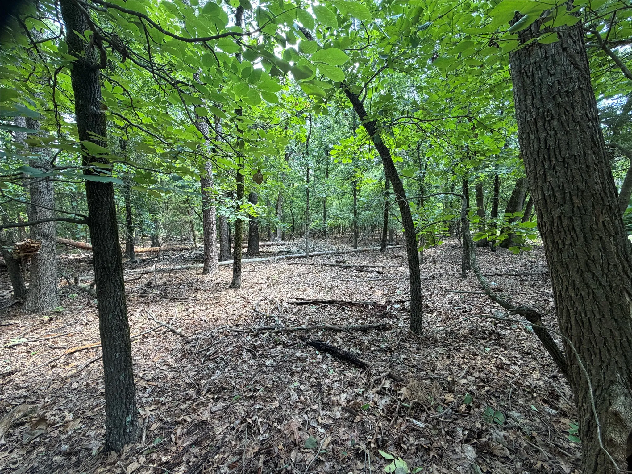 Unimproved Land For Sale in Franklin (TX) County , Lot 29 & 30 King Arthur Court, Scroggins, Texas 75480, 0, 0, Garage spaces, 0 Sqft, built in 0, Price $30,000, mls#21287590, Real Estate Agent in Scroggins, Homes For Sale in Franklin (TX) county, Homes For Sale in Scroggins, Realtor in Scroggins Texas, Real Estate Brokerage Independent Realty Texas, Luminita Cordes Realtor