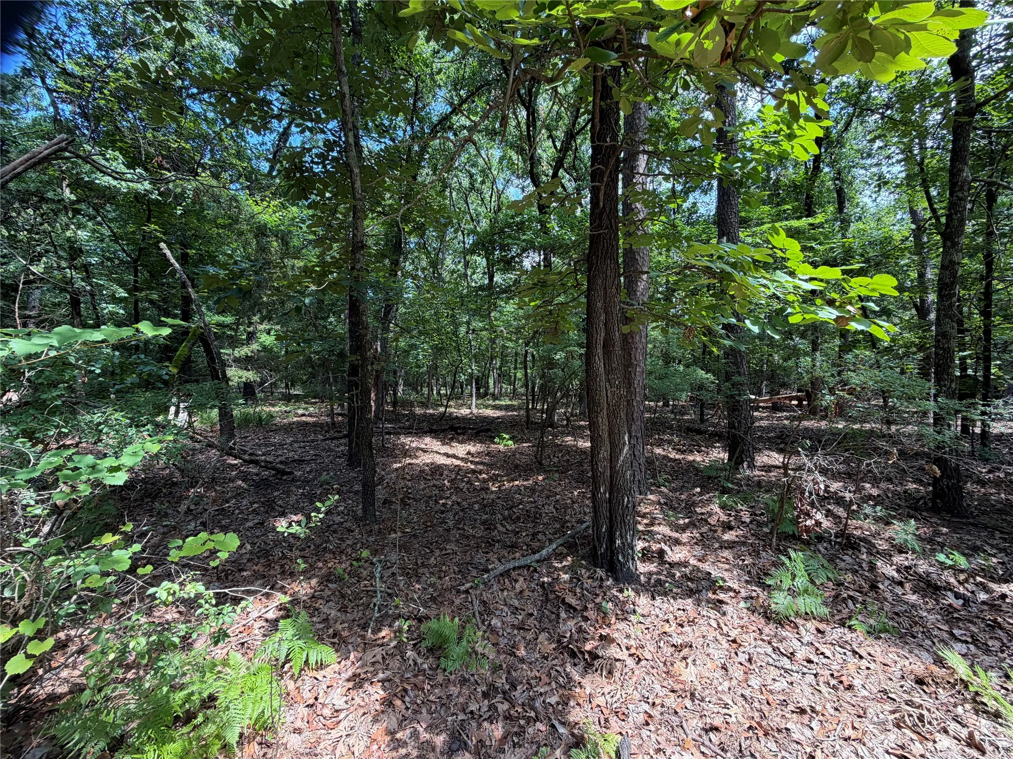 Unimproved Land For Sale in Franklin (TX) County , Lot 29 & 30 King Arthur Court, Scroggins, Texas 75480, 0, 0, Garage spaces, 0 Sqft, built in 0, Price $30,000, mls#21287590, Real Estate Agent in Scroggins, Homes For Sale in Franklin (TX) county, Homes For Sale in Scroggins, Realtor in Scroggins Texas, Real Estate Brokerage Independent Realty Texas, Luminita Cordes Realtor