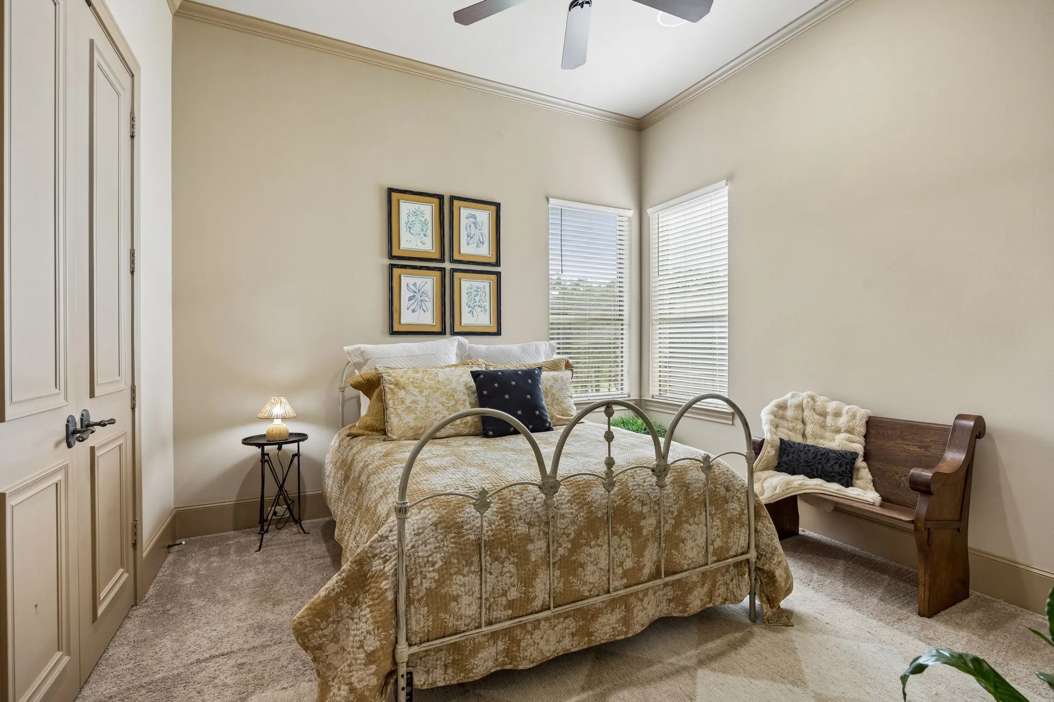 Carpeted room with a ceiling fan, crown molding, and two windows with horizontal blinds