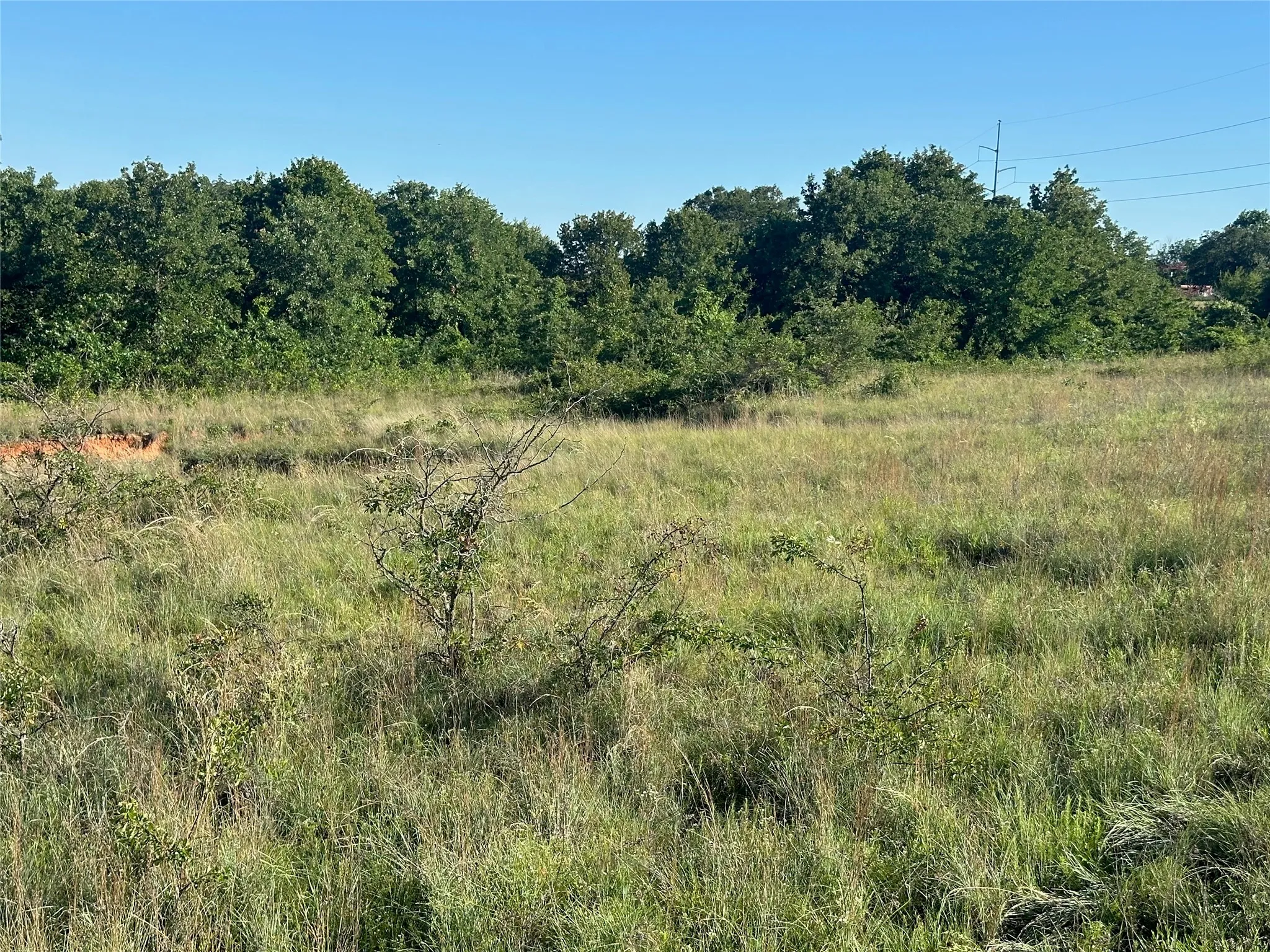 Unimproved Land For Sale in Wise County , 350 Division Lane, Poolville, Texas 76487, 0, 0, Garage spaces, 0 Sqft, built in 0, Price $399,900, mls#21287329, Real Estate Agent in Poolville, Homes For Sale in Wise county, Homes For Sale in Poolville, Realtor in Poolville Texas, Real Estate Brokerage Independent Realty Texas, Luminita Cordes Realtor