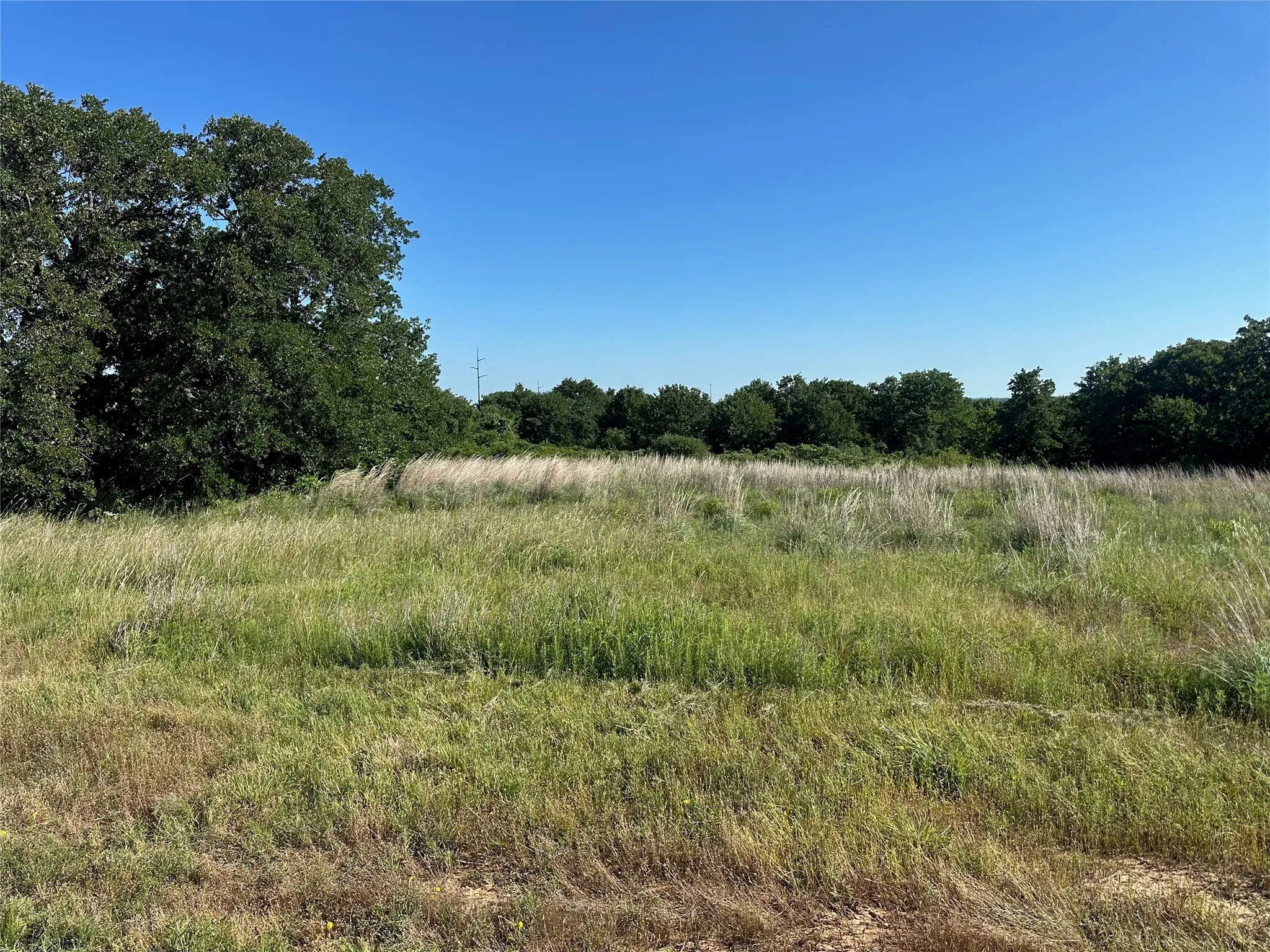 Unimproved Land For Sale in Wise County , 350 Division Lane, Poolville, Texas 76487, 0, 0, Garage spaces, 0 Sqft, built in 0, Price $399,900, mls#21287329, Real Estate Agent in Poolville, Homes For Sale in Wise county, Homes For Sale in Poolville, Realtor in Poolville Texas, Real Estate Brokerage Independent Realty Texas, Luminita Cordes Realtor