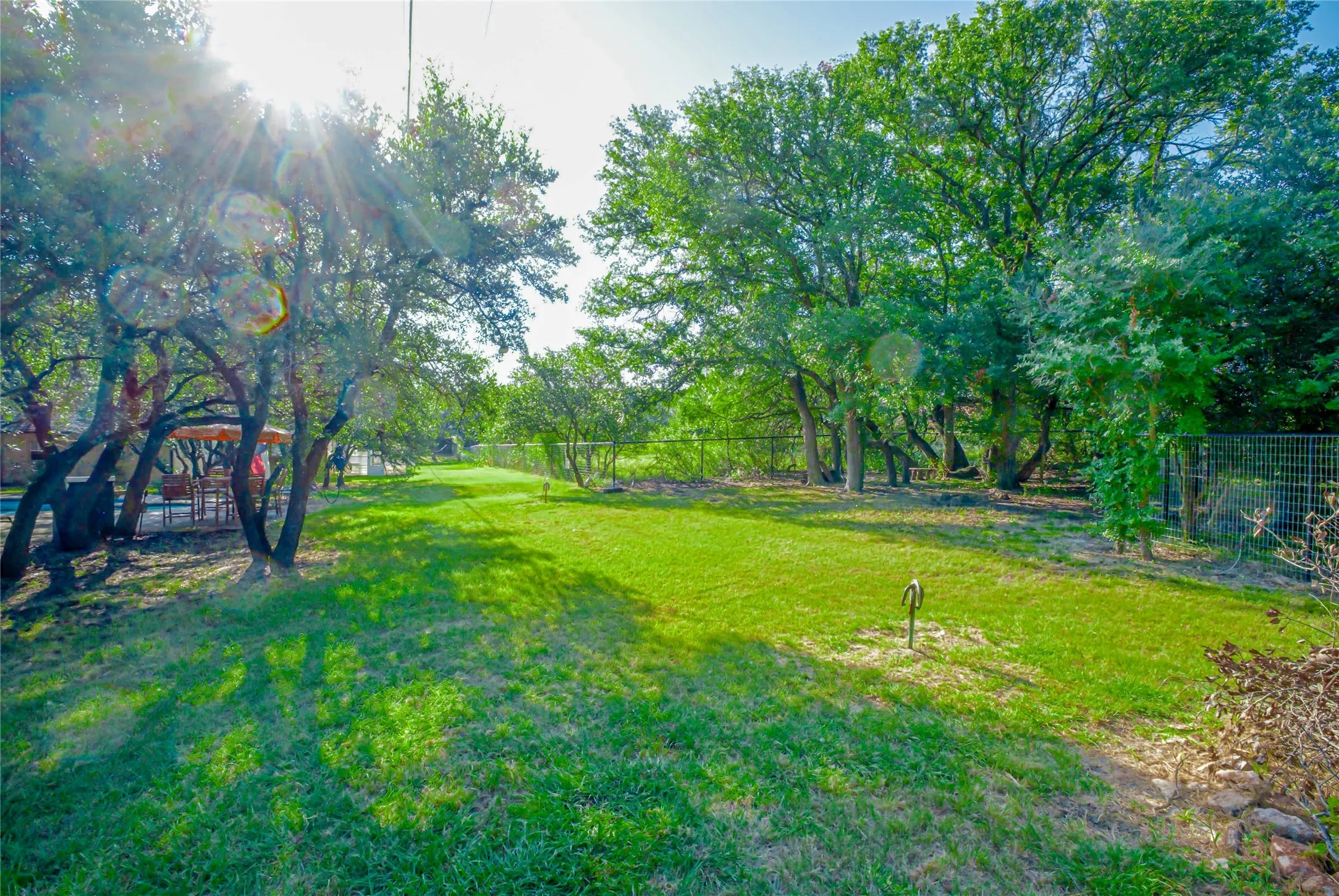 Back yard area.