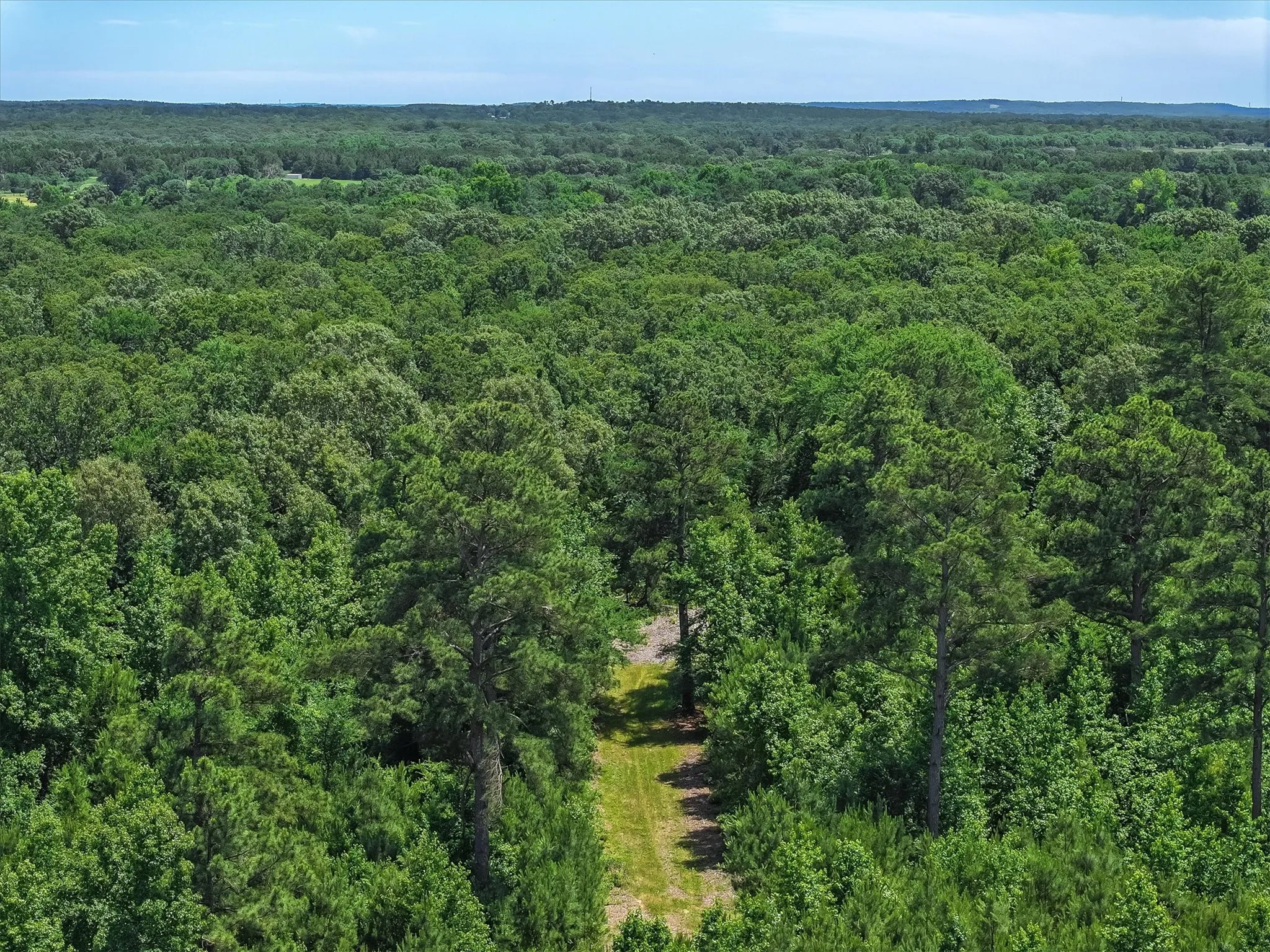 Unimproved Land For Sale in Van Zandt County , TBD Pvt. Rd 8079 Road, Ben Wheeler, Texas 75754, 0, 0, Garage spaces, 0 Sqft, built in 0, Price $1,460,000, mls#21283197, Real Estate Agent in Ben Wheeler, Homes For Sale in Van Zandt county, Homes For Sale in Ben Wheeler, Realtor in Ben Wheeler Texas, Real Estate Brokerage Independent Realty Texas, Luminita Cordes Realtor