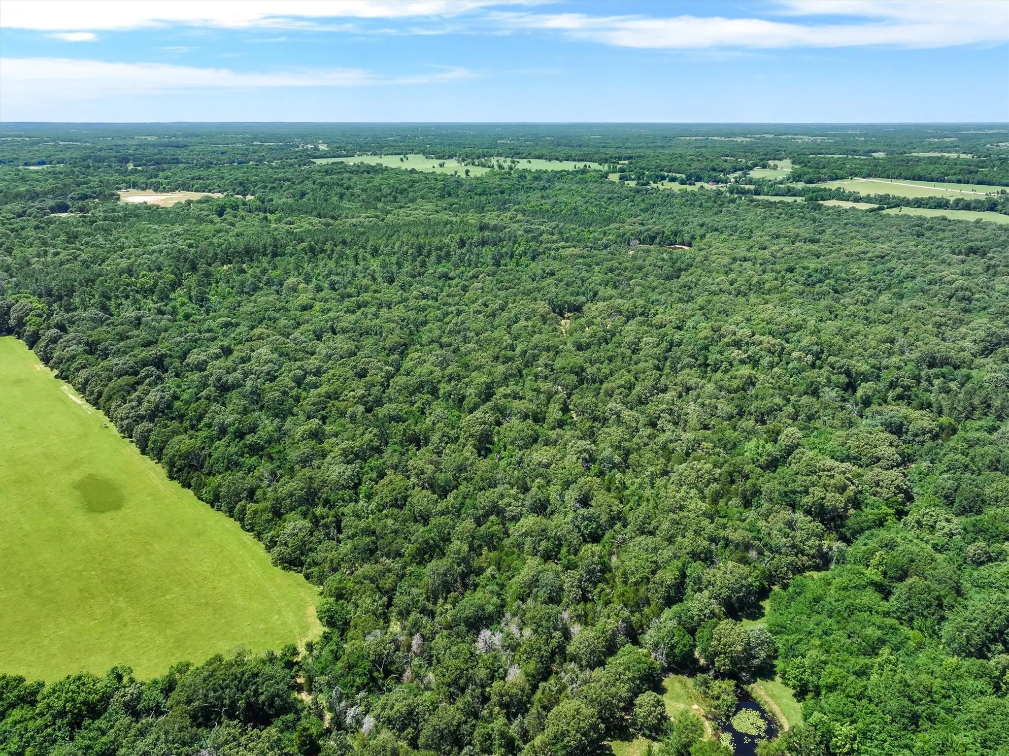 Unimproved Land For Sale in Van Zandt County , TBD Pvt. Rd 8079 Road, Ben Wheeler, Texas 75754, 0, 0, Garage spaces, 0 Sqft, built in 0, Price $1,460,000, mls#21283197, Real Estate Agent in Ben Wheeler, Homes For Sale in Van Zandt county, Homes For Sale in Ben Wheeler, Realtor in Ben Wheeler Texas, Real Estate Brokerage Independent Realty Texas, Luminita Cordes Realtor