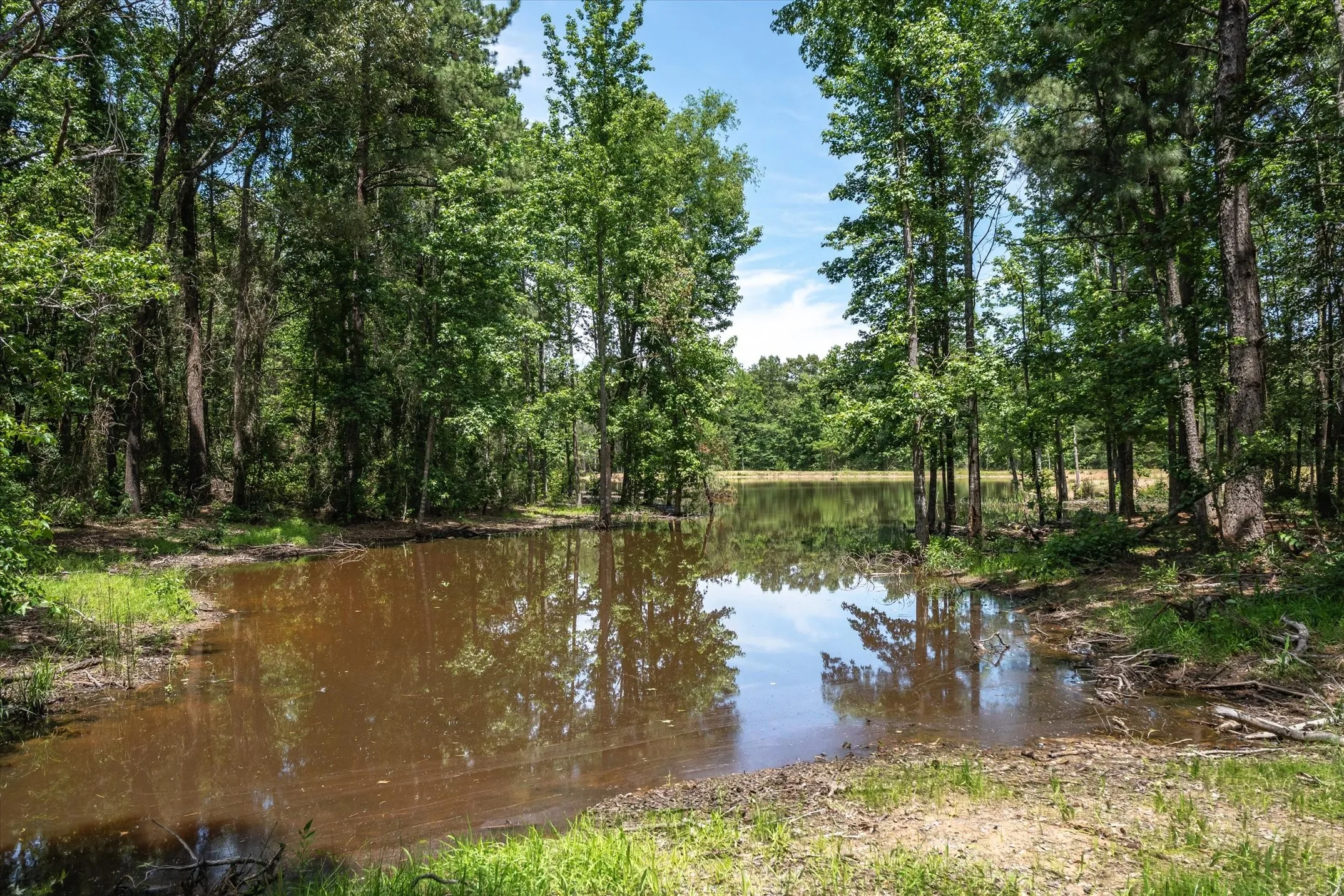 Unimproved Land For Sale in Van Zandt County , TBD Pvt. Rd 8079 Road, Ben Wheeler, Texas 75754, 0, 0, Garage spaces, 0 Sqft, built in 0, Price $1,460,000, mls#21283197, Real Estate Agent in Ben Wheeler, Homes For Sale in Van Zandt county, Homes For Sale in Ben Wheeler, Realtor in Ben Wheeler Texas, Real Estate Brokerage Independent Realty Texas, Luminita Cordes Realtor