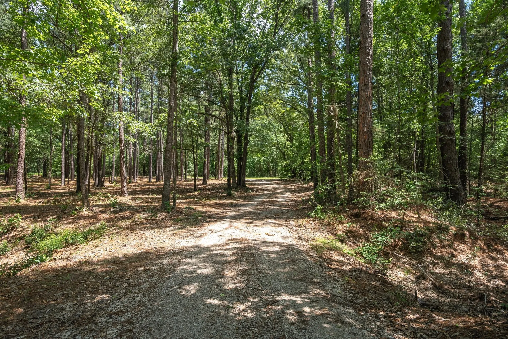 Unimproved Land For Sale in Van Zandt County , TBD Pvt. Rd 8079 Road, Ben Wheeler, Texas 75754, 0, 0, Garage spaces, 0 Sqft, built in 0, Price $1,460,000, mls#21283197, Real Estate Agent in Ben Wheeler, Homes For Sale in Van Zandt county, Homes For Sale in Ben Wheeler, Realtor in Ben Wheeler Texas, Real Estate Brokerage Independent Realty Texas, Luminita Cordes Realtor