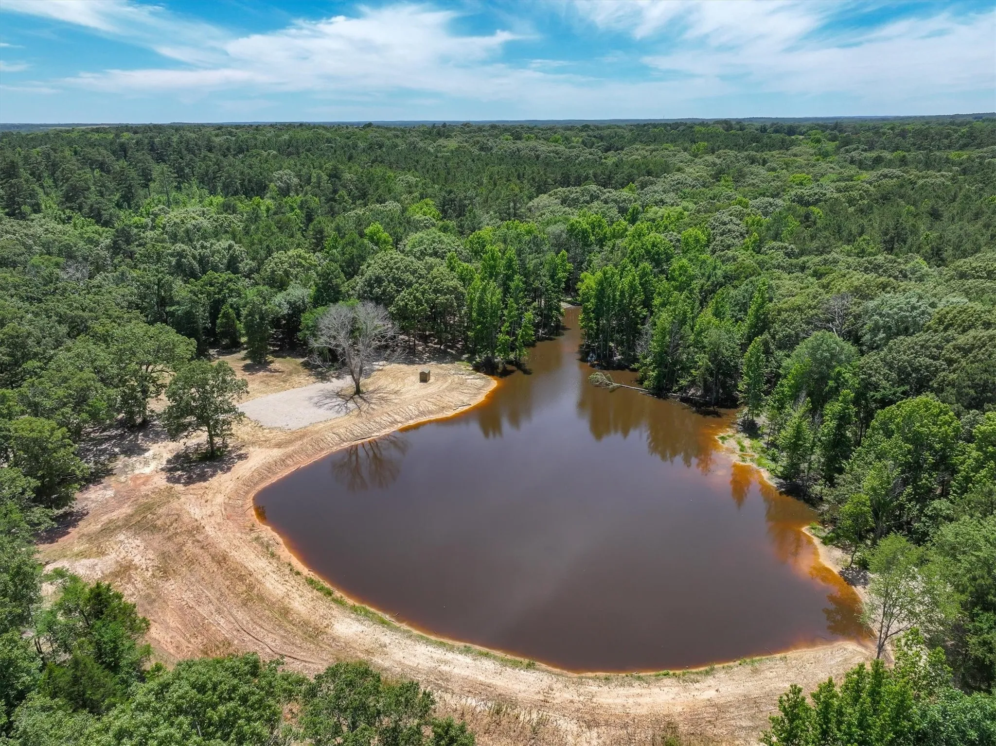 Unimproved Land For Sale in Van Zandt County , TBD Pvt. Rd 8079 Road, Ben Wheeler, Texas 75754, 0, 0, Garage spaces, 0 Sqft, built in 0, Price $1,460,000, mls#21283197, Real Estate Agent in Ben Wheeler, Homes For Sale in Van Zandt county, Homes For Sale in Ben Wheeler, Realtor in Ben Wheeler Texas, Real Estate Brokerage Independent Realty Texas, Luminita Cordes Realtor