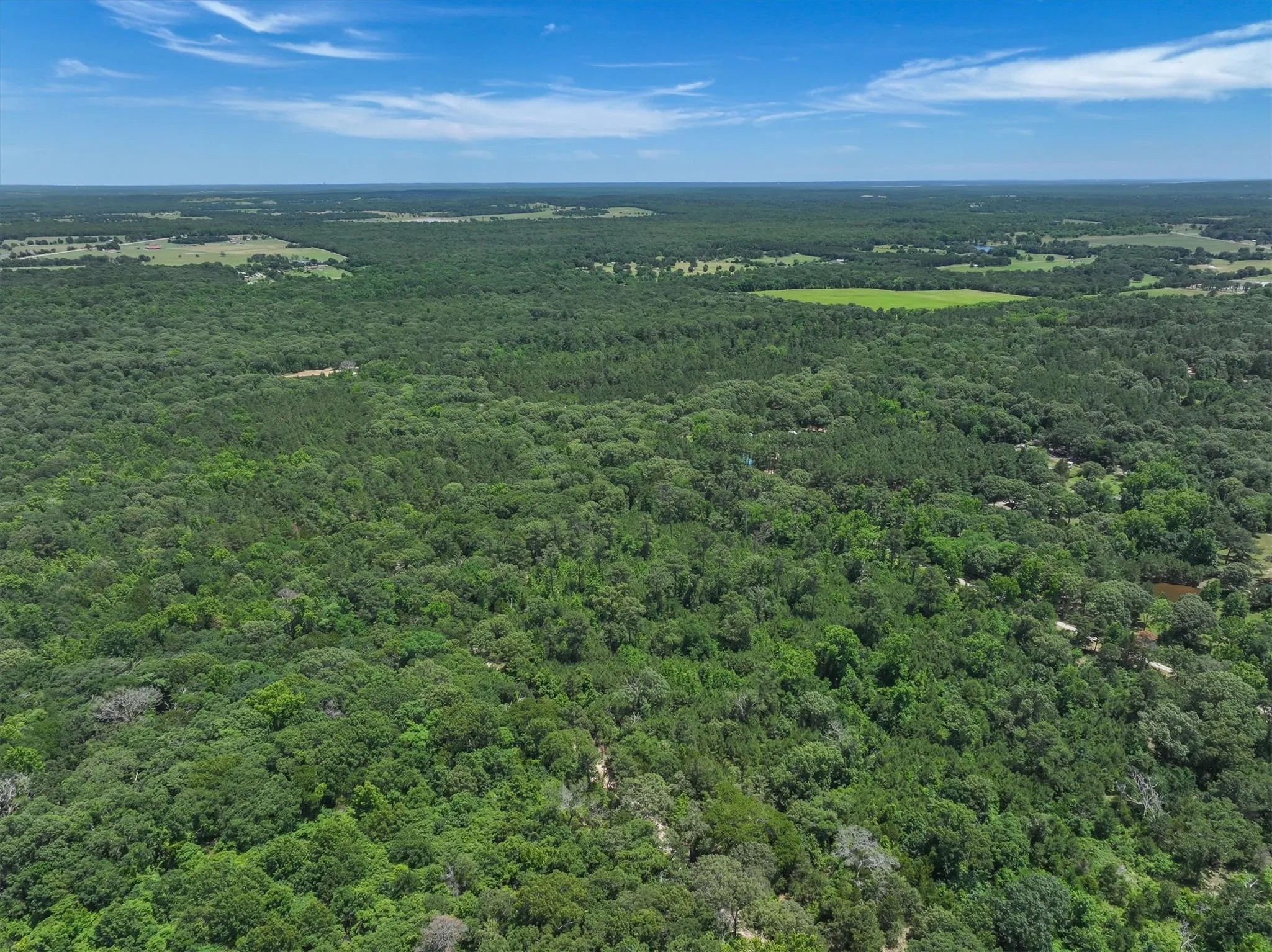 Unimproved Land For Sale in Van Zandt County , TBD Pvt. Rd 8079 Road, Ben Wheeler, Texas 75754, 0, 0, Garage spaces, 0 Sqft, built in 0, Price $1,460,000, mls#21283197, Real Estate Agent in Ben Wheeler, Homes For Sale in Van Zandt county, Homes For Sale in Ben Wheeler, Realtor in Ben Wheeler Texas, Real Estate Brokerage Independent Realty Texas, Luminita Cordes Realtor