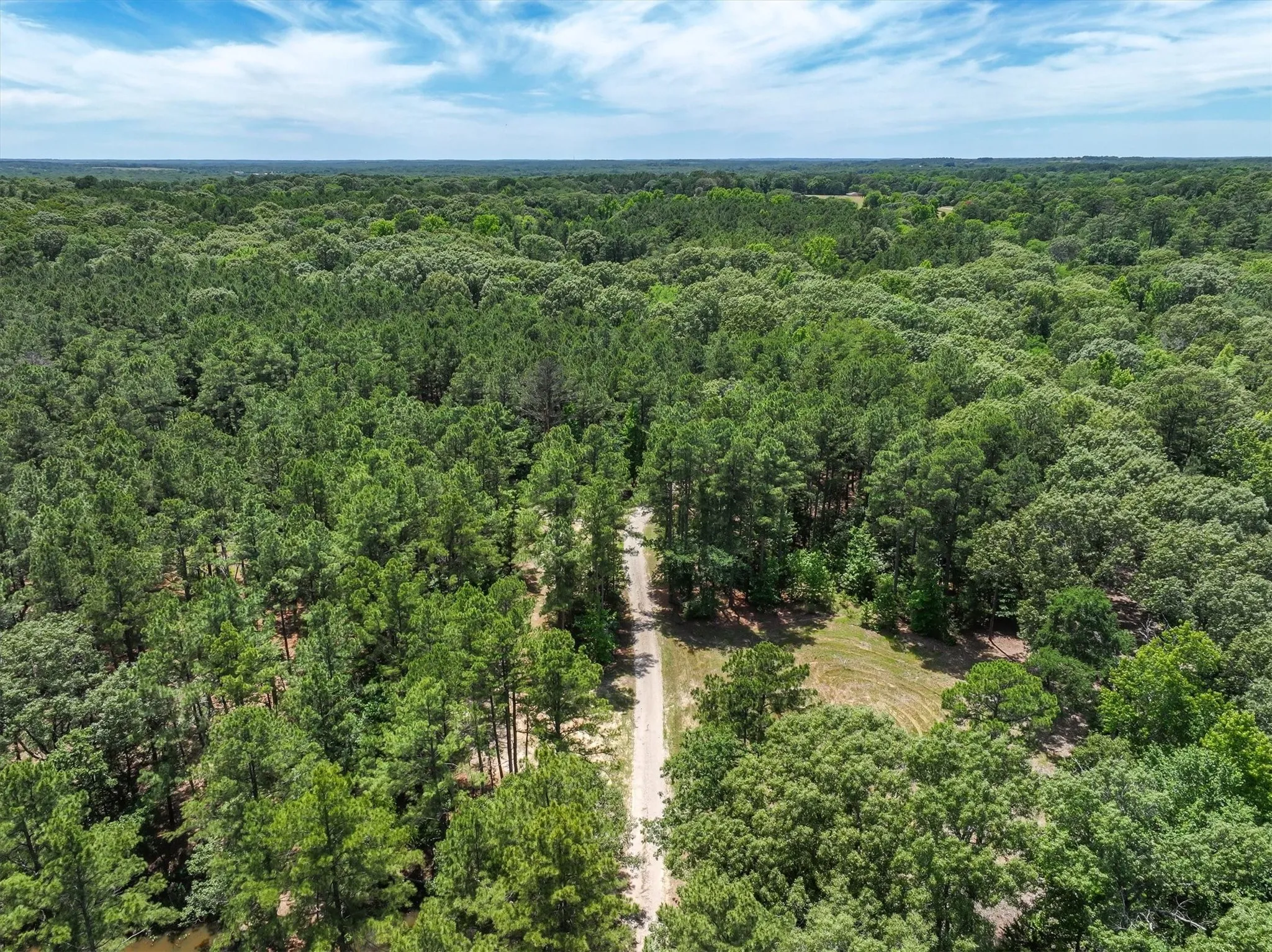 Unimproved Land For Sale in Van Zandt County , TBD Pvt. Rd 8079 Road, Ben Wheeler, Texas 75754, 0, 0, Garage spaces, 0 Sqft, built in 0, Price $1,460,000, mls#21283197, Real Estate Agent in Ben Wheeler, Homes For Sale in Van Zandt county, Homes For Sale in Ben Wheeler, Realtor in Ben Wheeler Texas, Real Estate Brokerage Independent Realty Texas, Luminita Cordes Realtor
