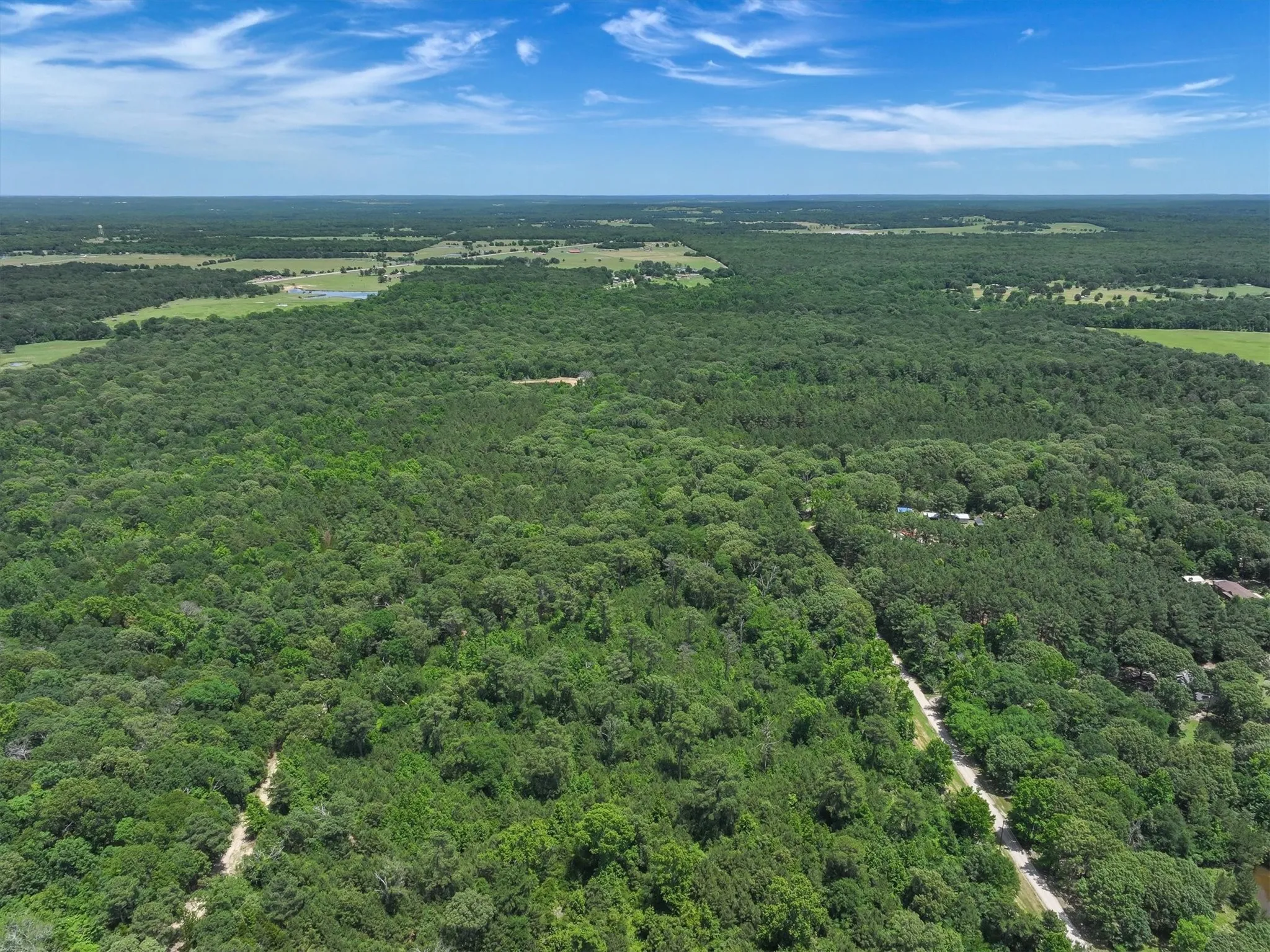 Unimproved Land For Sale in Van Zandt County , TBD Pvt. Rd 8079 Road, Ben Wheeler, Texas 75754, 0, 0, Garage spaces, 0 Sqft, built in 0, Price $1,460,000, mls#21283197, Real Estate Agent in Ben Wheeler, Homes For Sale in Van Zandt county, Homes For Sale in Ben Wheeler, Realtor in Ben Wheeler Texas, Real Estate Brokerage Independent Realty Texas, Luminita Cordes Realtor