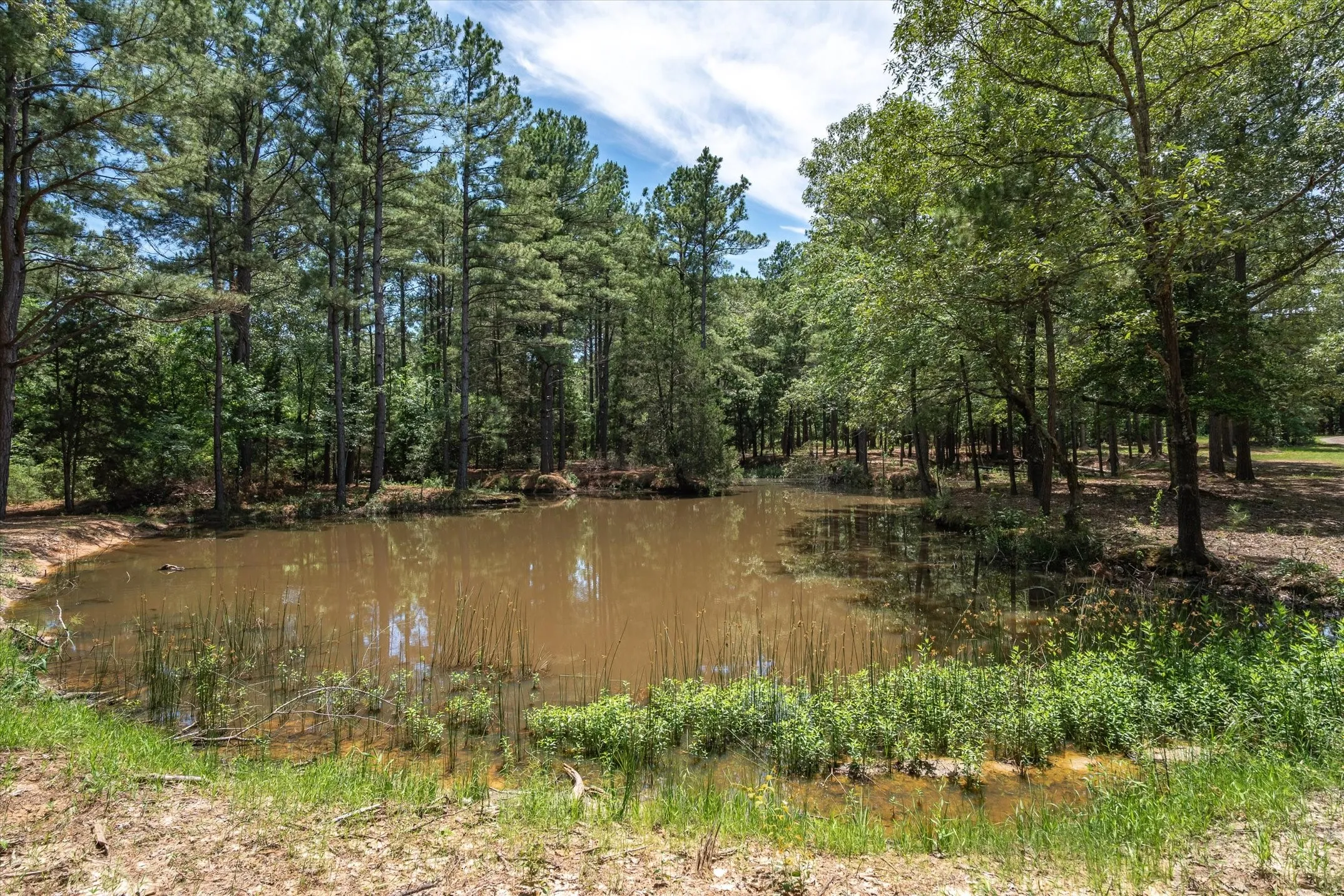 Unimproved Land For Sale in Van Zandt County , TBD Pvt. Rd 8079 Road, Ben Wheeler, Texas 75754, 0, 0, Garage spaces, 0 Sqft, built in 0, Price $1,460,000, mls#21283197, Real Estate Agent in Ben Wheeler, Homes For Sale in Van Zandt county, Homes For Sale in Ben Wheeler, Realtor in Ben Wheeler Texas, Real Estate Brokerage Independent Realty Texas, Luminita Cordes Realtor
