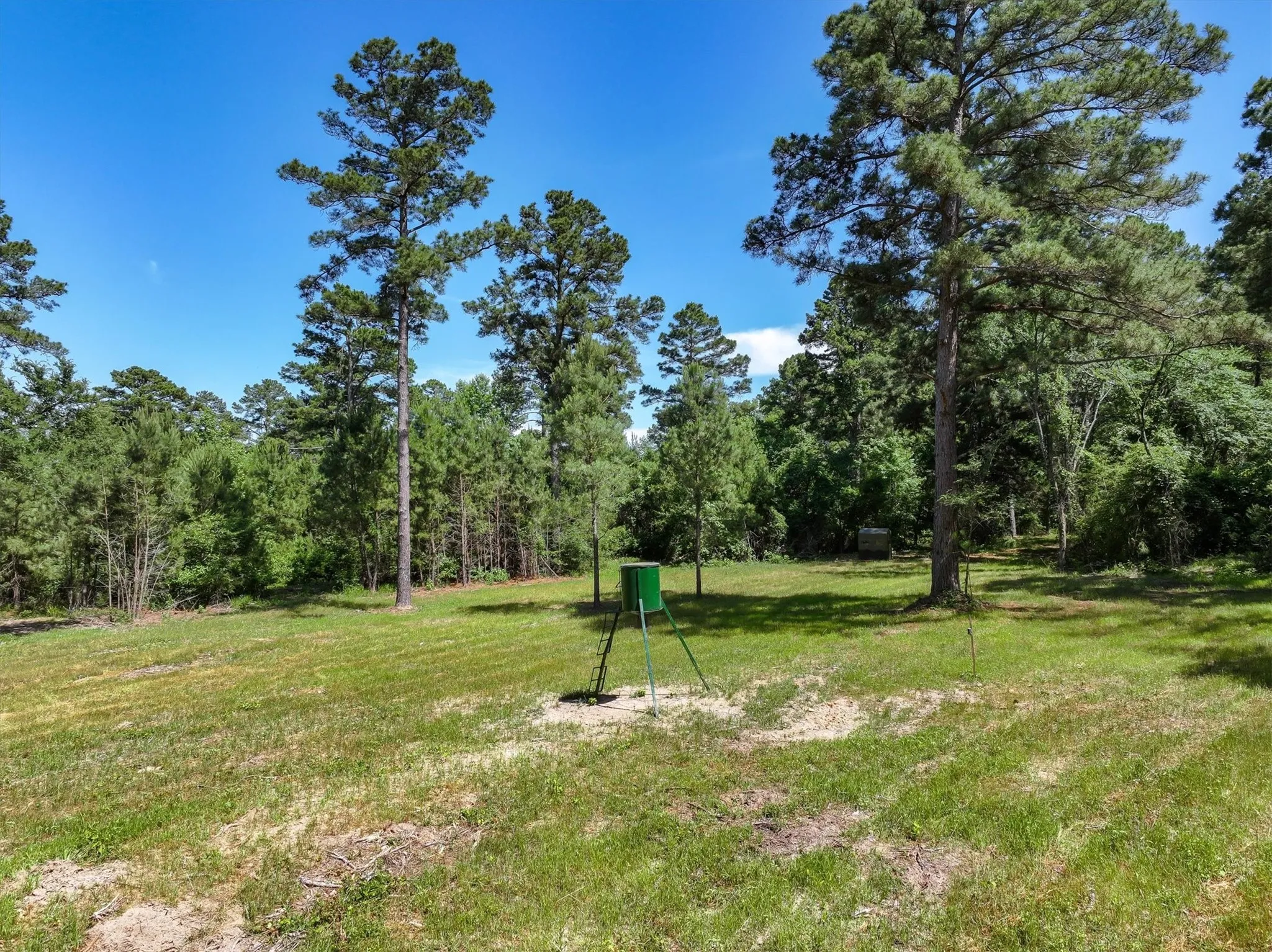 Unimproved Land For Sale in Van Zandt County , TBD Pvt. Rd 8079 Road, Ben Wheeler, Texas 75754, 0, 0, Garage spaces, 0 Sqft, built in 0, Price $1,460,000, mls#21283197, Real Estate Agent in Ben Wheeler, Homes For Sale in Van Zandt county, Homes For Sale in Ben Wheeler, Realtor in Ben Wheeler Texas, Real Estate Brokerage Independent Realty Texas, Luminita Cordes Realtor
