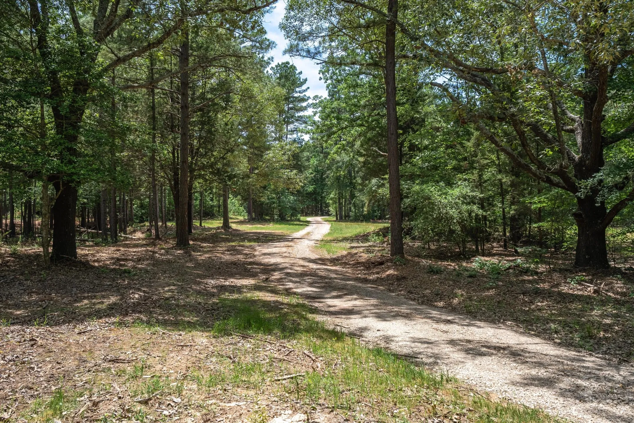 Unimproved Land For Sale in Van Zandt County , TBD Pvt. Rd 8079 Road, Ben Wheeler, Texas 75754, 0, 0, Garage spaces, 0 Sqft, built in 0, Price $1,460,000, mls#21283197, Real Estate Agent in Ben Wheeler, Homes For Sale in Van Zandt county, Homes For Sale in Ben Wheeler, Realtor in Ben Wheeler Texas, Real Estate Brokerage Independent Realty Texas, Luminita Cordes Realtor