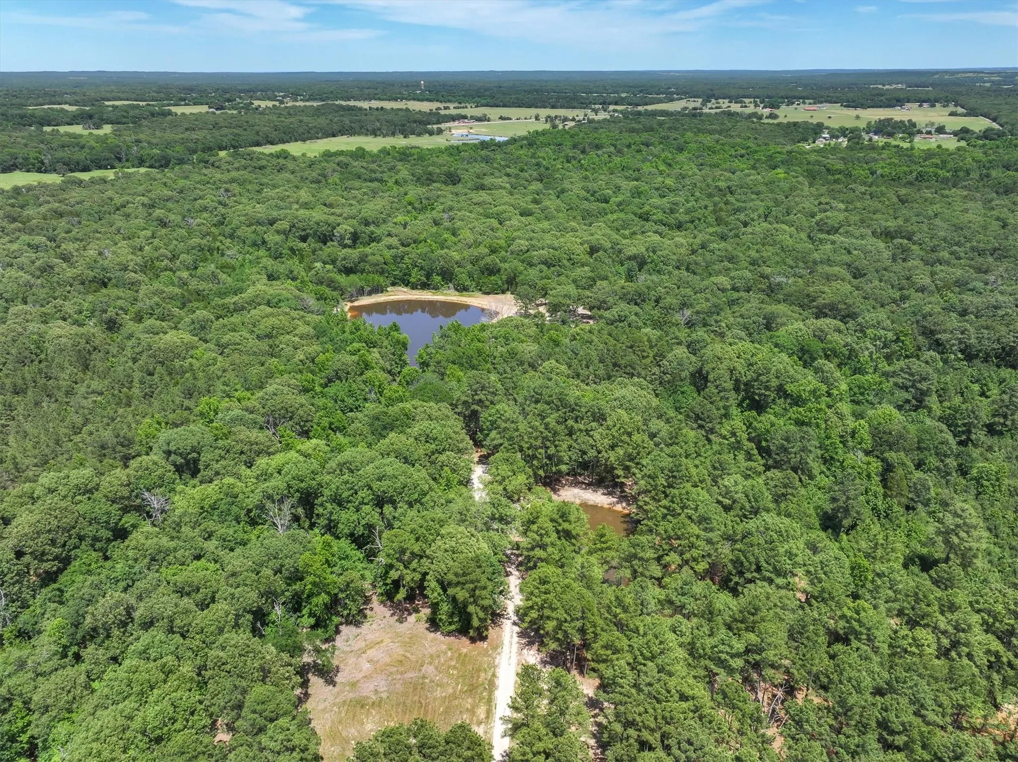 Unimproved Land For Sale in Van Zandt County , TBD Pvt. Rd 8079 Road, Ben Wheeler, Texas 75754, 0, 0, Garage spaces, 0 Sqft, built in 0, Price $1,460,000, mls#21283197, Real Estate Agent in Ben Wheeler, Homes For Sale in Van Zandt county, Homes For Sale in Ben Wheeler, Realtor in Ben Wheeler Texas, Real Estate Brokerage Independent Realty Texas, Luminita Cordes Realtor