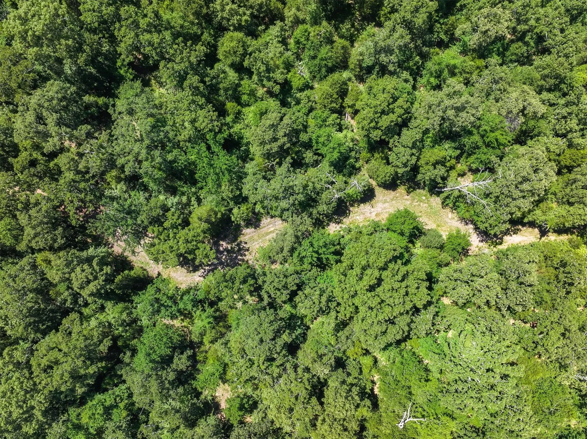 Unimproved Land For Sale in Van Zandt County , TBD Pvt. Rd 8079 Road, Ben Wheeler, Texas 75754, 0, 0, Garage spaces, 0 Sqft, built in 0, Price $1,460,000, mls#21283197, Real Estate Agent in Ben Wheeler, Homes For Sale in Van Zandt county, Homes For Sale in Ben Wheeler, Realtor in Ben Wheeler Texas, Real Estate Brokerage Independent Realty Texas, Luminita Cordes Realtor