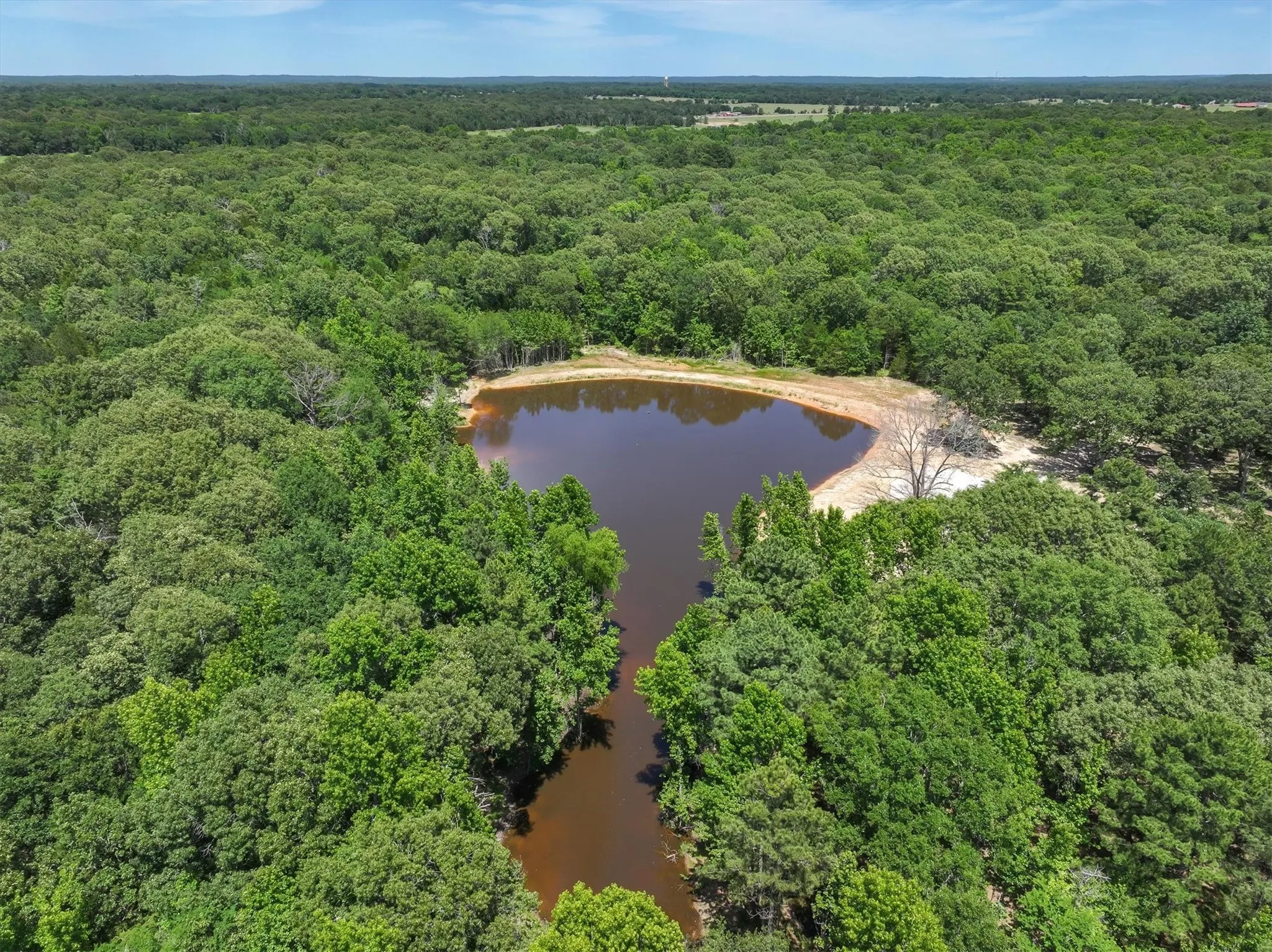 Unimproved Land For Sale in Van Zandt County , TBD Pvt. Rd 8079 Road, Ben Wheeler, Texas 75754, 0, 0, Garage spaces, 0 Sqft, built in 0, Price $1,460,000, mls#21283197, Real Estate Agent in Ben Wheeler, Homes For Sale in Van Zandt county, Homes For Sale in Ben Wheeler, Realtor in Ben Wheeler Texas, Real Estate Brokerage Independent Realty Texas, Luminita Cordes Realtor