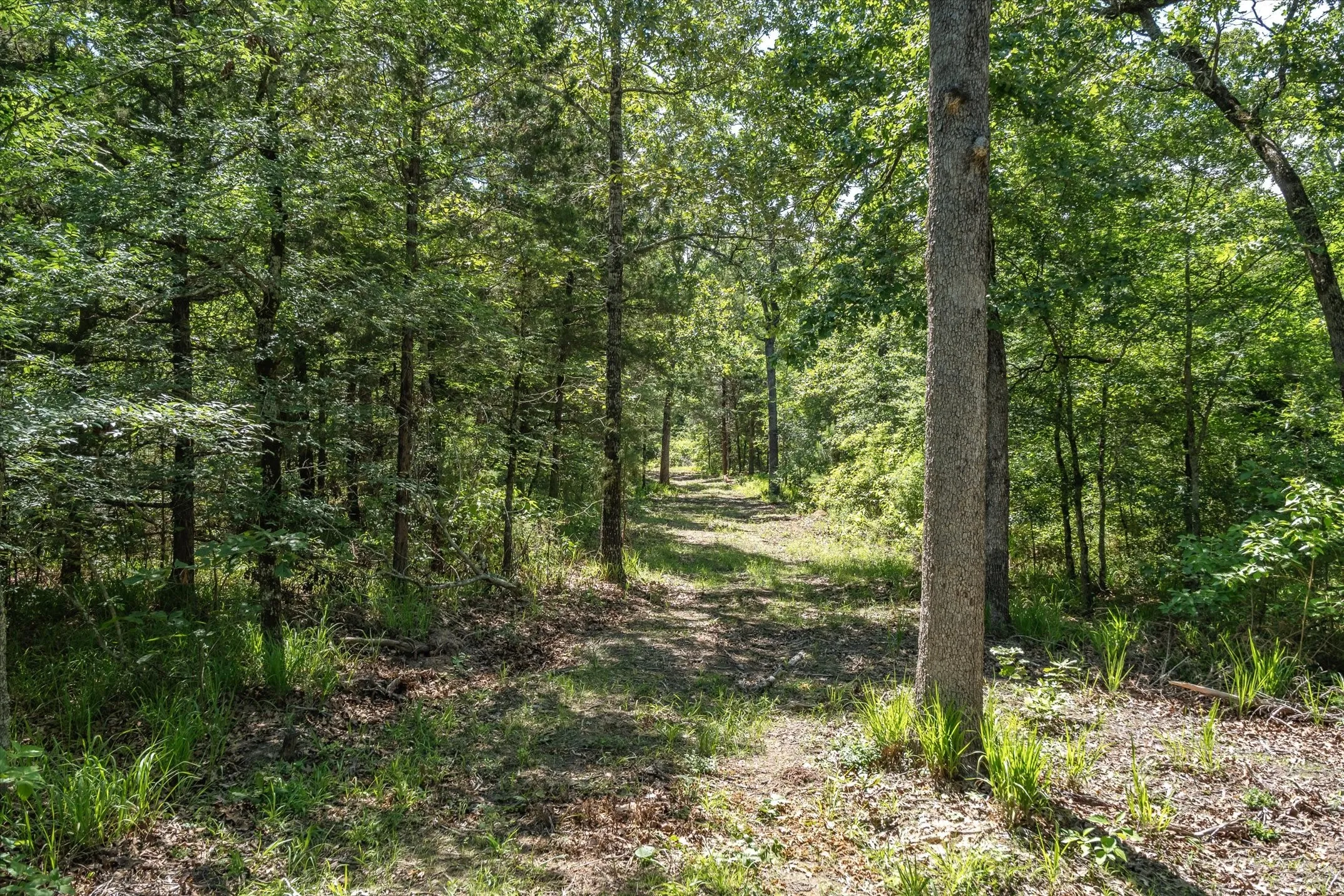 Unimproved Land For Sale in Van Zandt County , TBD Pvt. Rd 8079 Road, Ben Wheeler, Texas 75754, 0, 0, Garage spaces, 0 Sqft, built in 0, Price $1,460,000, mls#21283197, Real Estate Agent in Ben Wheeler, Homes For Sale in Van Zandt county, Homes For Sale in Ben Wheeler, Realtor in Ben Wheeler Texas, Real Estate Brokerage Independent Realty Texas, Luminita Cordes Realtor