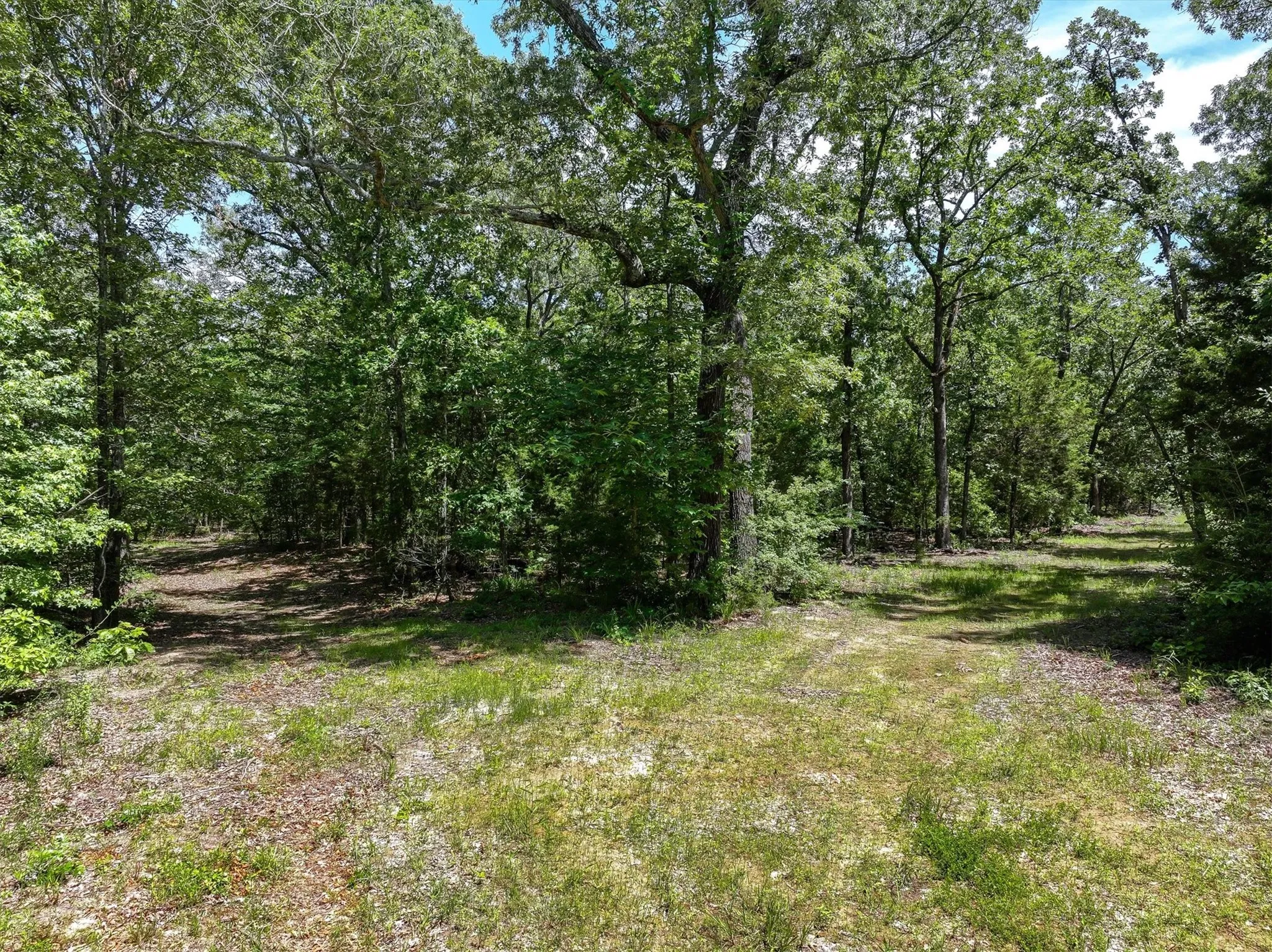 Unimproved Land For Sale in Van Zandt County , TBD Pvt. Rd 8079 Road, Ben Wheeler, Texas 75754, 0, 0, Garage spaces, 0 Sqft, built in 0, Price $1,460,000, mls#21283197, Real Estate Agent in Ben Wheeler, Homes For Sale in Van Zandt county, Homes For Sale in Ben Wheeler, Realtor in Ben Wheeler Texas, Real Estate Brokerage Independent Realty Texas, Luminita Cordes Realtor