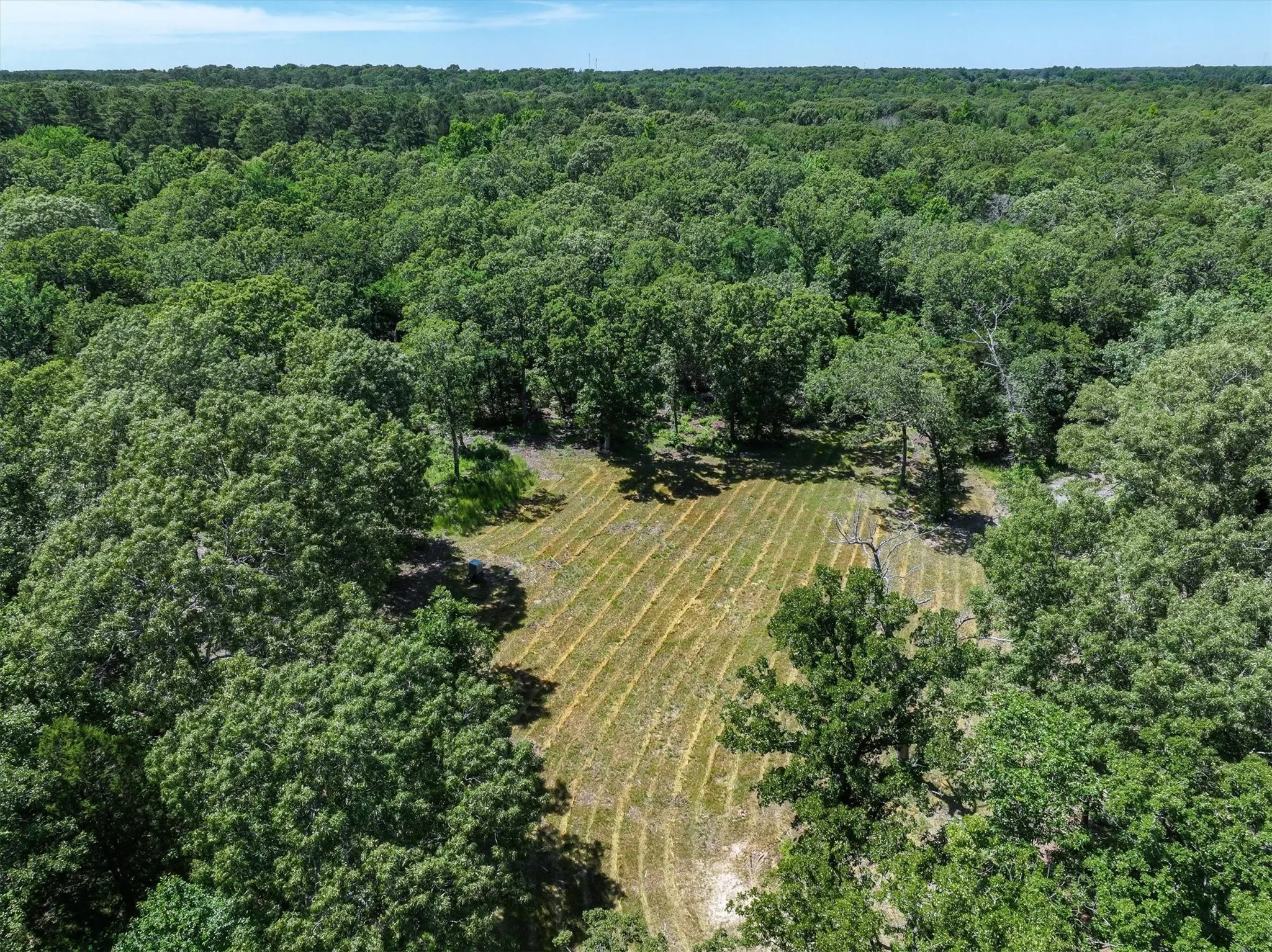 Unimproved Land For Sale in Van Zandt County , TBD Pvt. Rd 8079 Road, Ben Wheeler, Texas 75754, 0, 0, Garage spaces, 0 Sqft, built in 0, Price $1,460,000, mls#21283197, Real Estate Agent in Ben Wheeler, Homes For Sale in Van Zandt county, Homes For Sale in Ben Wheeler, Realtor in Ben Wheeler Texas, Real Estate Brokerage Independent Realty Texas, Luminita Cordes Realtor