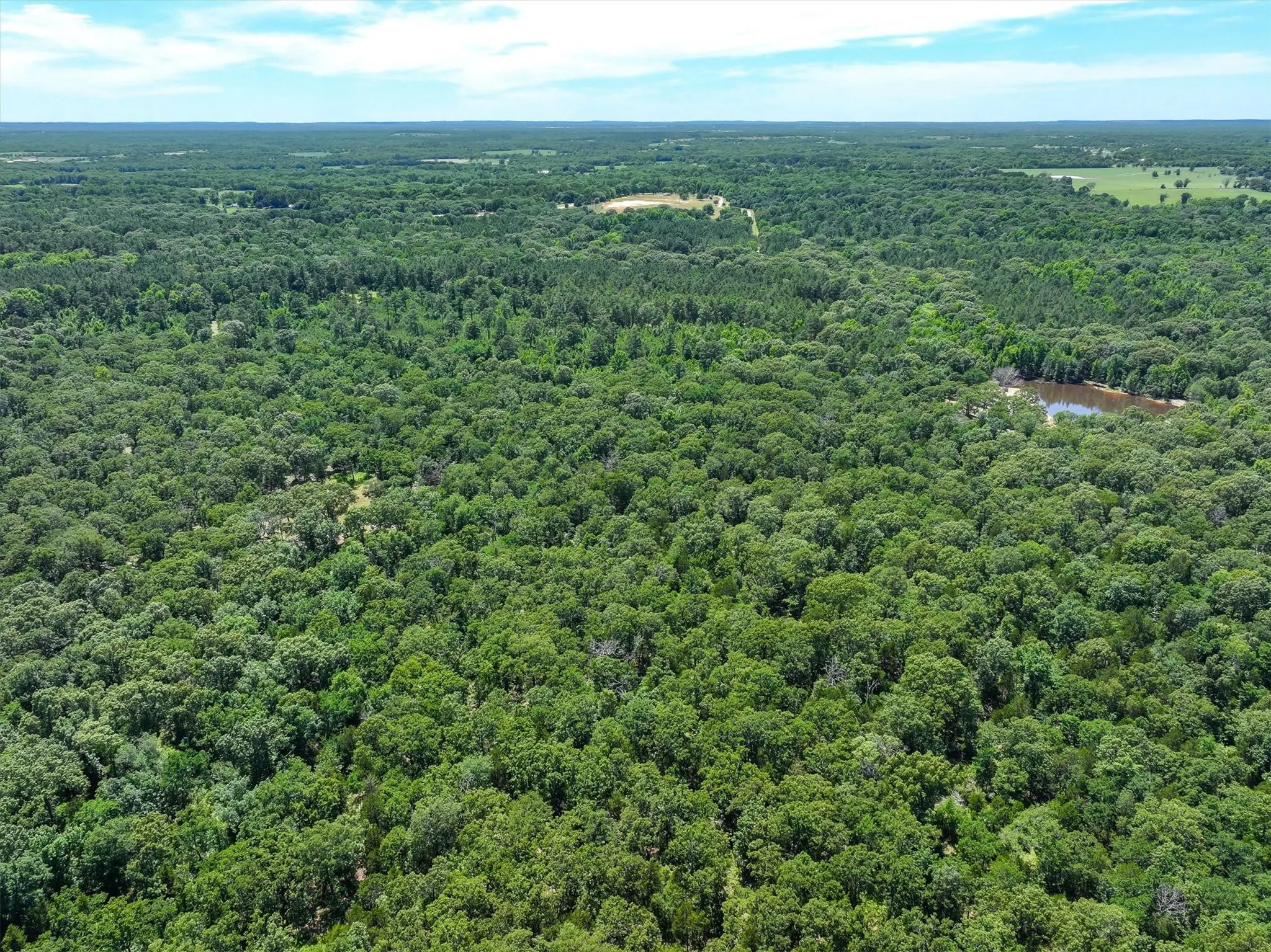 Unimproved Land For Sale in Van Zandt County , TBD Pvt. Rd 8079 Road, Ben Wheeler, Texas 75754, 0, 0, Garage spaces, 0 Sqft, built in 0, Price $1,460,000, mls#21283197, Real Estate Agent in Ben Wheeler, Homes For Sale in Van Zandt county, Homes For Sale in Ben Wheeler, Realtor in Ben Wheeler Texas, Real Estate Brokerage Independent Realty Texas, Luminita Cordes Realtor