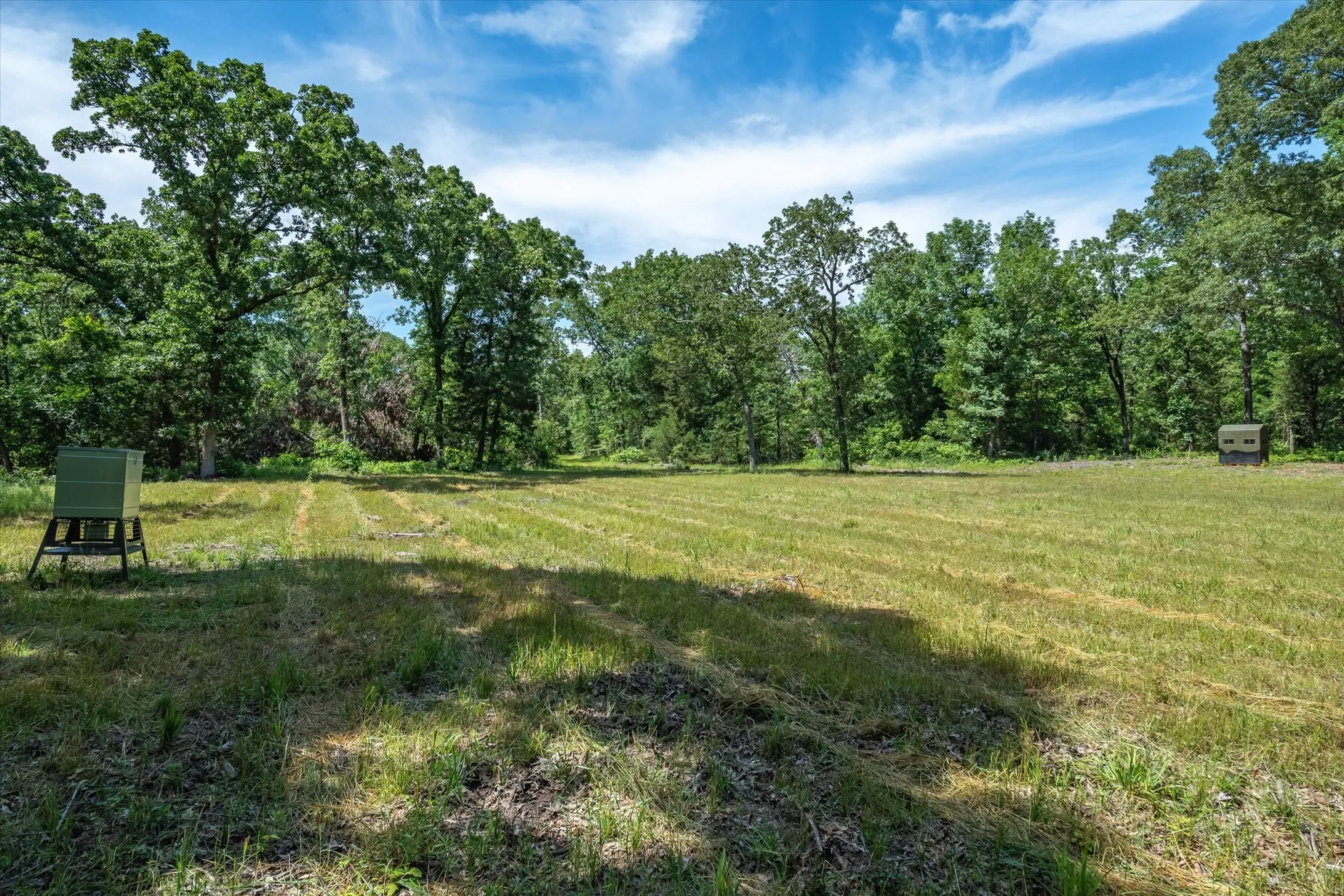Unimproved Land For Sale in Van Zandt County , TBD Pvt. Rd 8079 Road, Ben Wheeler, Texas 75754, 0, 0, Garage spaces, 0 Sqft, built in 0, Price $1,460,000, mls#21283197, Real Estate Agent in Ben Wheeler, Homes For Sale in Van Zandt county, Homes For Sale in Ben Wheeler, Realtor in Ben Wheeler Texas, Real Estate Brokerage Independent Realty Texas, Luminita Cordes Realtor