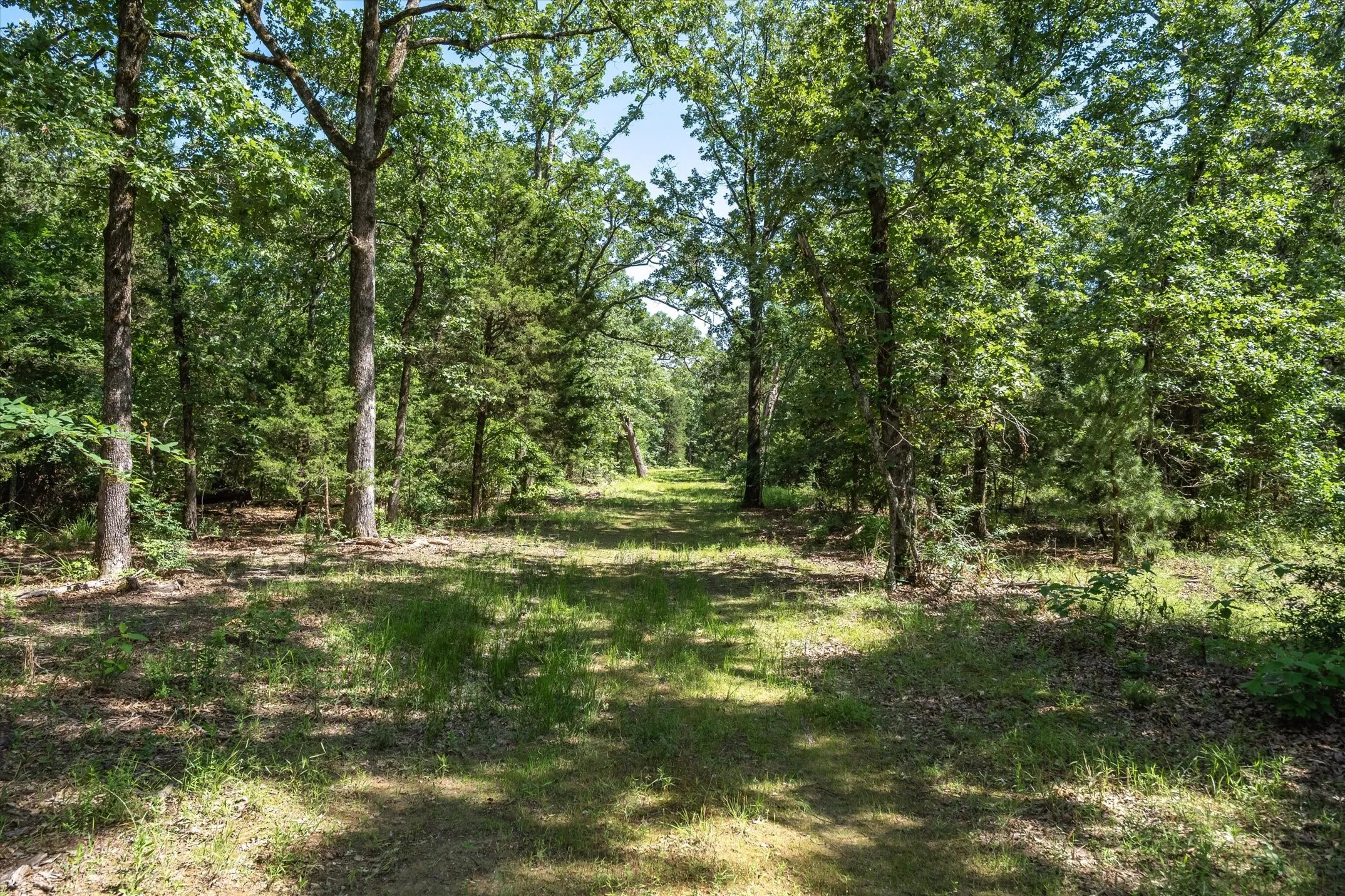 Unimproved Land For Sale in Van Zandt County , TBD Pvt. Rd 8079 Road, Ben Wheeler, Texas 75754, 0, 0, Garage spaces, 0 Sqft, built in 0, Price $1,460,000, mls#21283197, Real Estate Agent in Ben Wheeler, Homes For Sale in Van Zandt county, Homes For Sale in Ben Wheeler, Realtor in Ben Wheeler Texas, Real Estate Brokerage Independent Realty Texas, Luminita Cordes Realtor