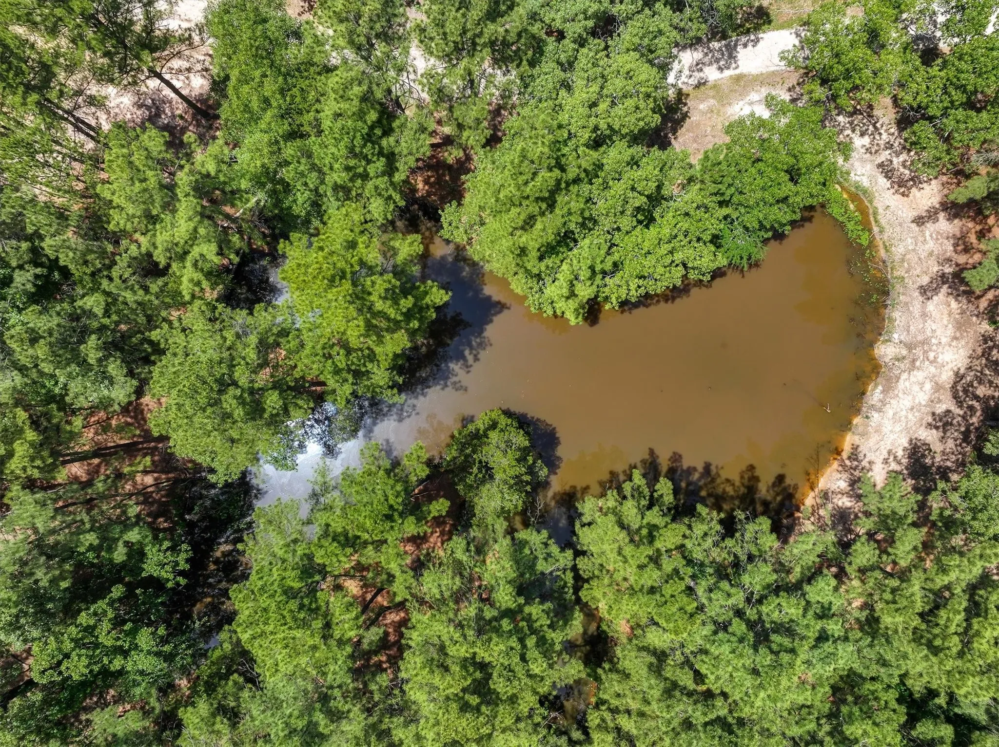 Unimproved Land For Sale in Van Zandt County , TBD Pvt. Rd 8079 Road, Ben Wheeler, Texas 75754, 0, 0, Garage spaces, 0 Sqft, built in 0, Price $1,460,000, mls#21283197, Real Estate Agent in Ben Wheeler, Homes For Sale in Van Zandt county, Homes For Sale in Ben Wheeler, Realtor in Ben Wheeler Texas, Real Estate Brokerage Independent Realty Texas, Luminita Cordes Realtor