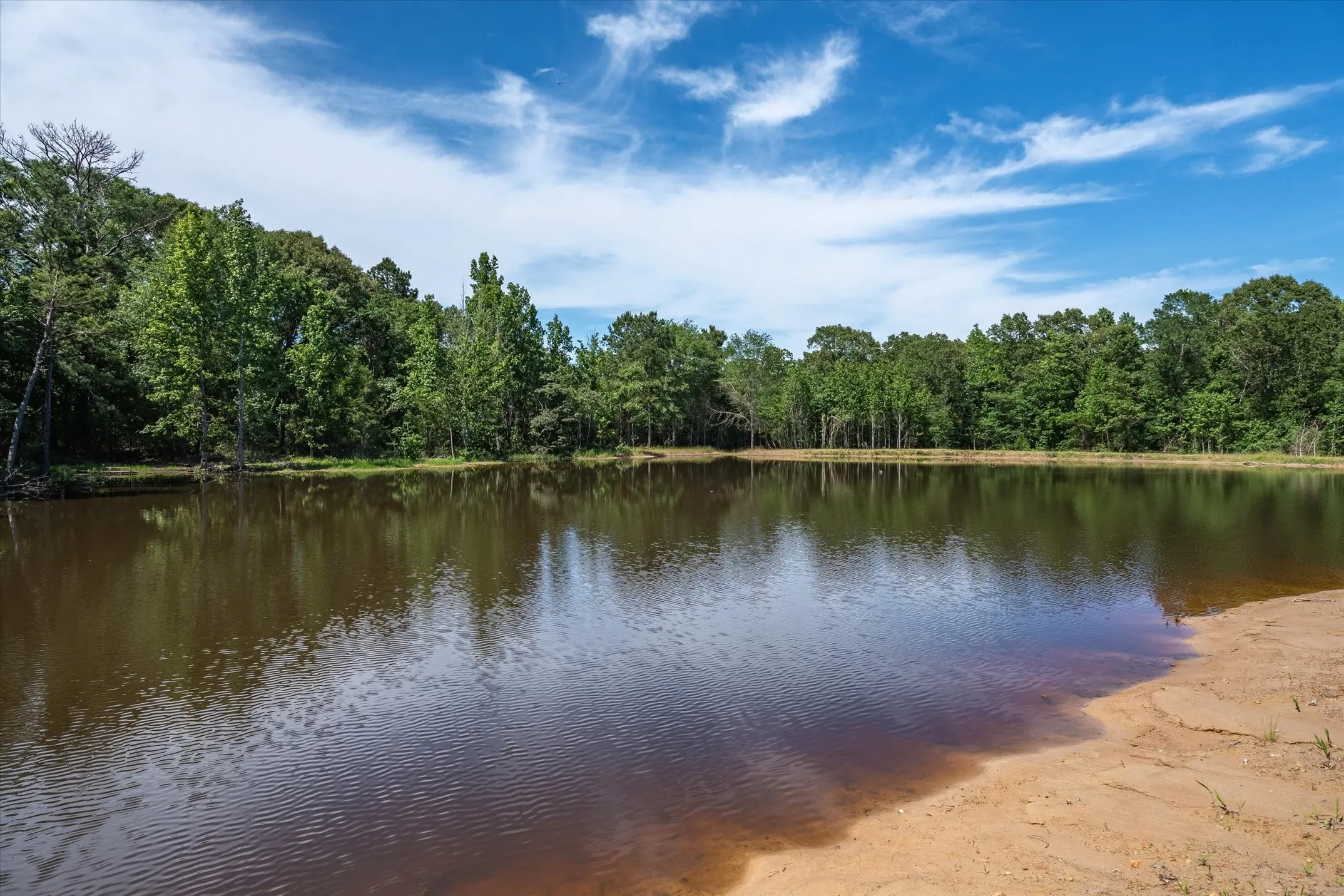 Unimproved Land For Sale in Van Zandt County , TBD Pvt. Rd 8079 Road, Ben Wheeler, Texas 75754, 0, 0, Garage spaces, 0 Sqft, built in 0, Price $1,460,000, mls#21283197, Real Estate Agent in Ben Wheeler, Homes For Sale in Van Zandt county, Homes For Sale in Ben Wheeler, Realtor in Ben Wheeler Texas, Real Estate Brokerage Independent Realty Texas, Luminita Cordes Realtor