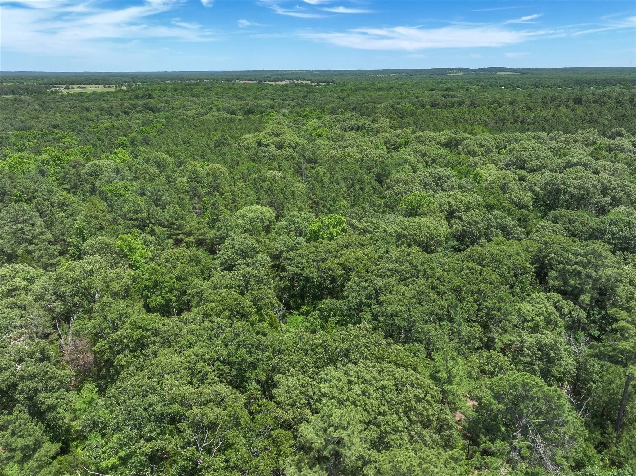 Unimproved Land For Sale in Van Zandt County , TBD Pvt. Rd 8079 Road, Ben Wheeler, Texas 75754, 0, 0, Garage spaces, 0 Sqft, built in 0, Price $1,460,000, mls#21283197, Real Estate Agent in Ben Wheeler, Homes For Sale in Van Zandt county, Homes For Sale in Ben Wheeler, Realtor in Ben Wheeler Texas, Real Estate Brokerage Independent Realty Texas, Luminita Cordes Realtor