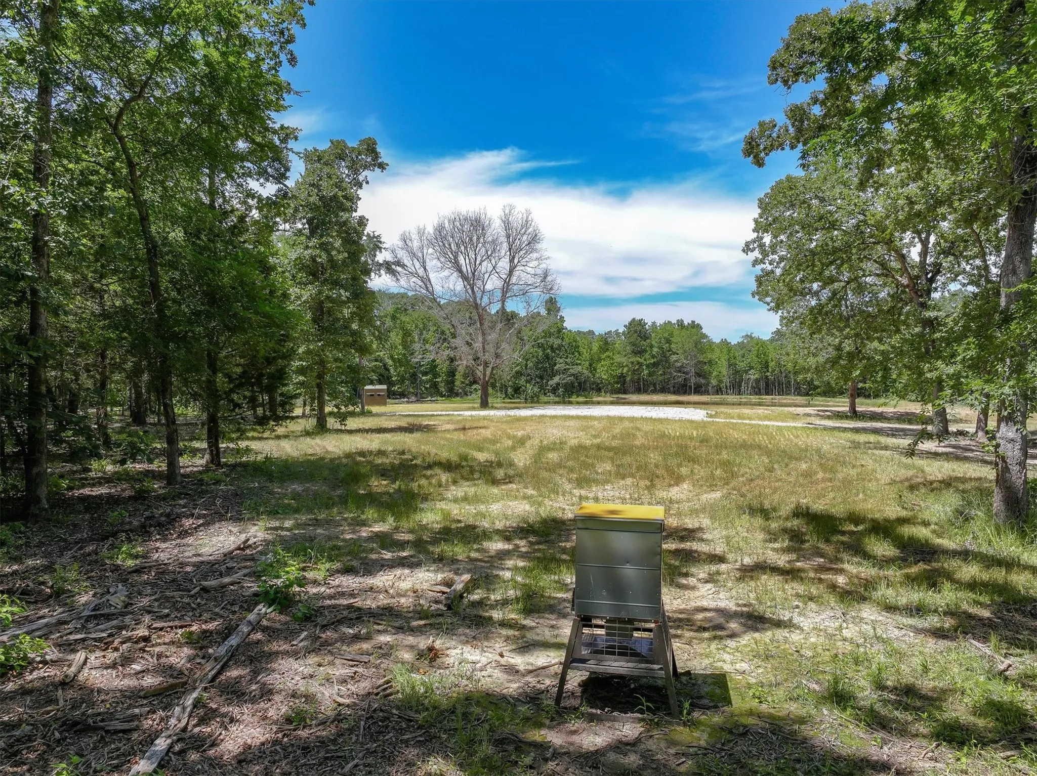 Unimproved Land For Sale in Van Zandt County , TBD Pvt. Rd 8079 Road, Ben Wheeler, Texas 75754, 0, 0, Garage spaces, 0 Sqft, built in 0, Price $1,460,000, mls#21283197, Real Estate Agent in Ben Wheeler, Homes For Sale in Van Zandt county, Homes For Sale in Ben Wheeler, Realtor in Ben Wheeler Texas, Real Estate Brokerage Independent Realty Texas, Luminita Cordes Realtor