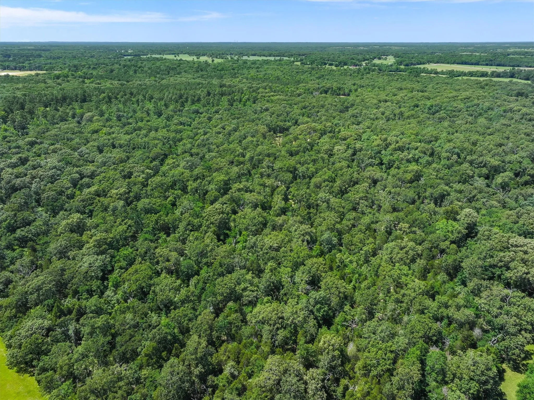 Unimproved Land For Sale in Van Zandt County , TBD Pvt. Rd 8079 Road, Ben Wheeler, Texas 75754, 0, 0, Garage spaces, 0 Sqft, built in 0, Price $1,460,000, mls#21283197, Real Estate Agent in Ben Wheeler, Homes For Sale in Van Zandt county, Homes For Sale in Ben Wheeler, Realtor in Ben Wheeler Texas, Real Estate Brokerage Independent Realty Texas, Luminita Cordes Realtor