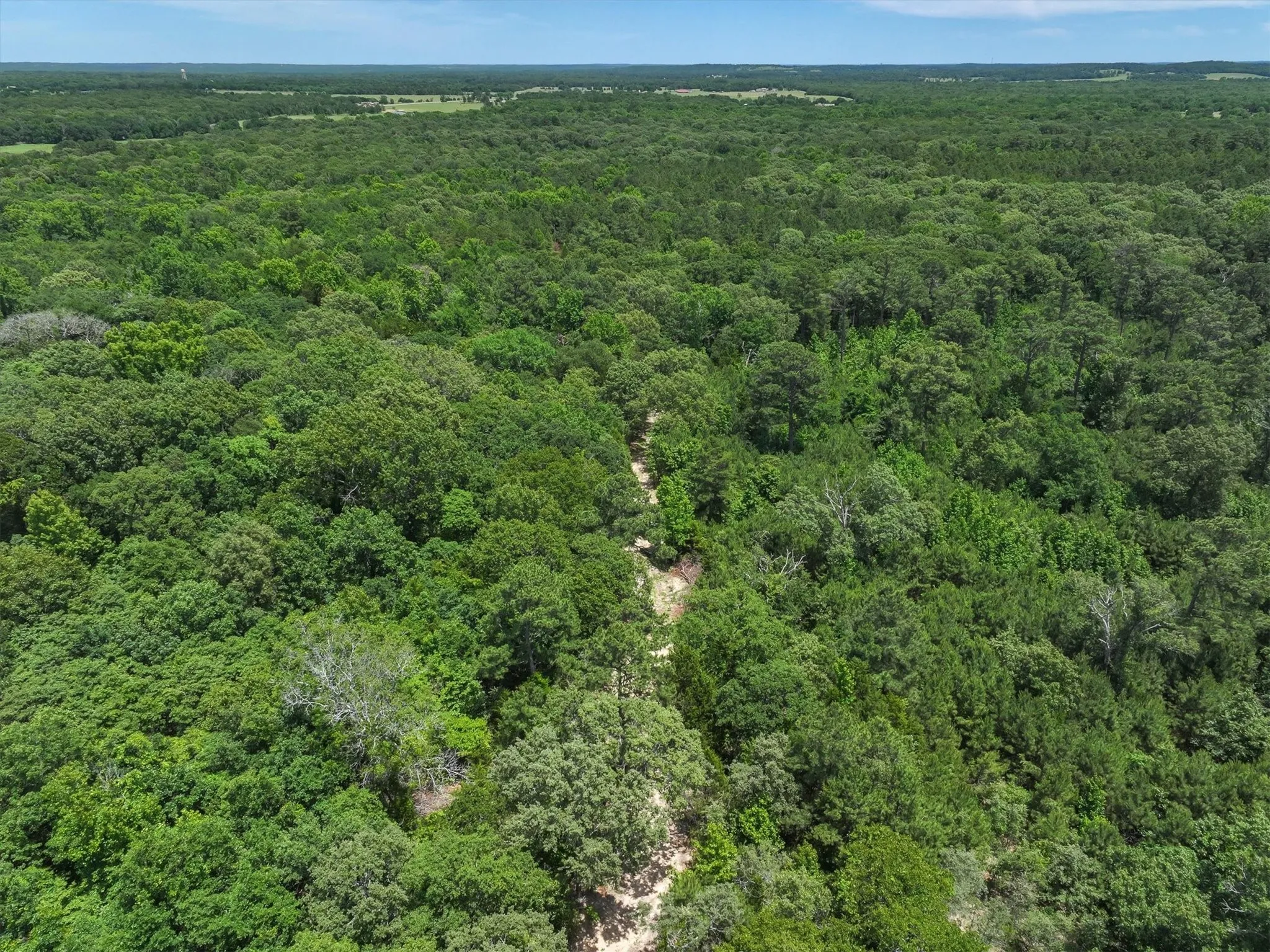 Unimproved Land For Sale in Van Zandt County , TBD Pvt. Rd 8079 Road, Ben Wheeler, Texas 75754, 0, 0, Garage spaces, 0 Sqft, built in 0, Price $1,460,000, mls#21283197, Real Estate Agent in Ben Wheeler, Homes For Sale in Van Zandt county, Homes For Sale in Ben Wheeler, Realtor in Ben Wheeler Texas, Real Estate Brokerage Independent Realty Texas, Luminita Cordes Realtor
