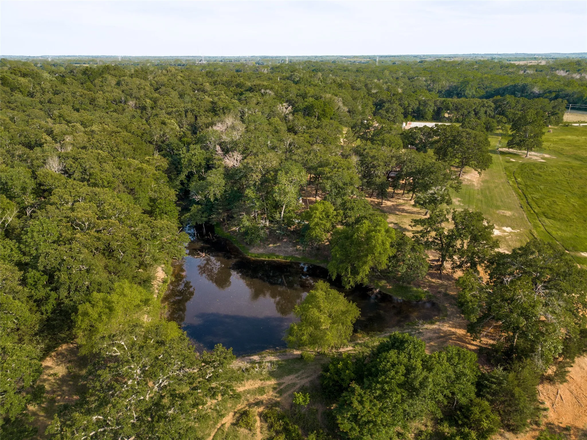 Single Family Residence For Sale in Fannin County , 1955 County Road 2980, Windom, Texas 75492, 2 Bedrooms, 2 Bathrooms, 2 Garage spaces, 3,928 Sqft, built in 2019, Price $4,100,000, mls#21287850, Real Estate Agent in Windom, Homes For Sale in Fannin county, Homes For Sale in Windom, Realtor in Windom Texas, Real Estate Brokerage Independent Realty Texas, Luminita Cordes Realtor