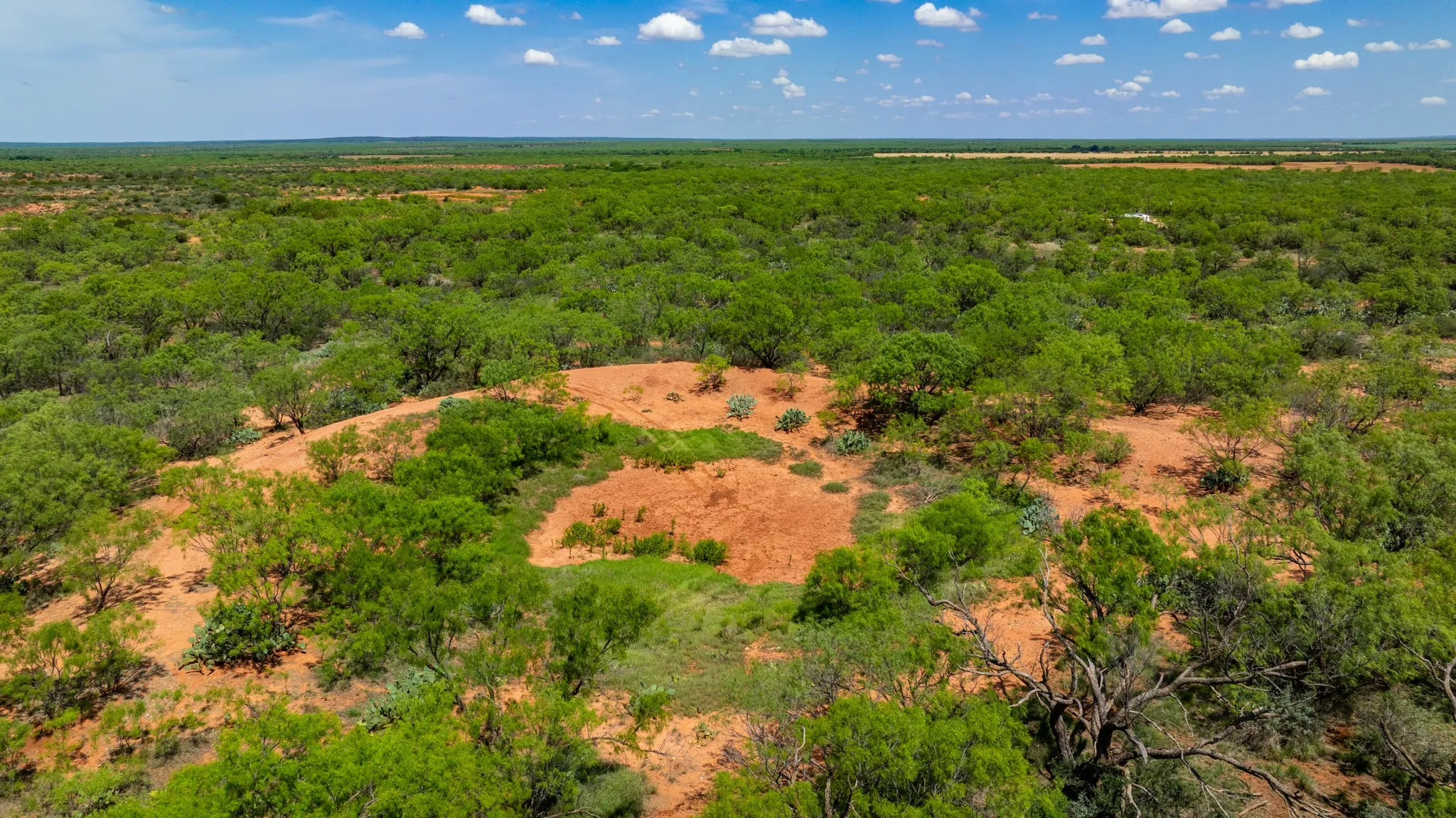 Ranch For Sale in Fisher County , TBD 179 County Rd 161, Trent, Texas 79561, 0, 0, Garage spaces, 0 Sqft, built in 0, Price $525,000, mls#21287868, Real Estate Agent in Trent, Homes For Sale in Fisher county, Homes For Sale in Trent, Realtor in Trent Texas, Real Estate Brokerage Independent Realty Texas, Luminita Cordes Realtor